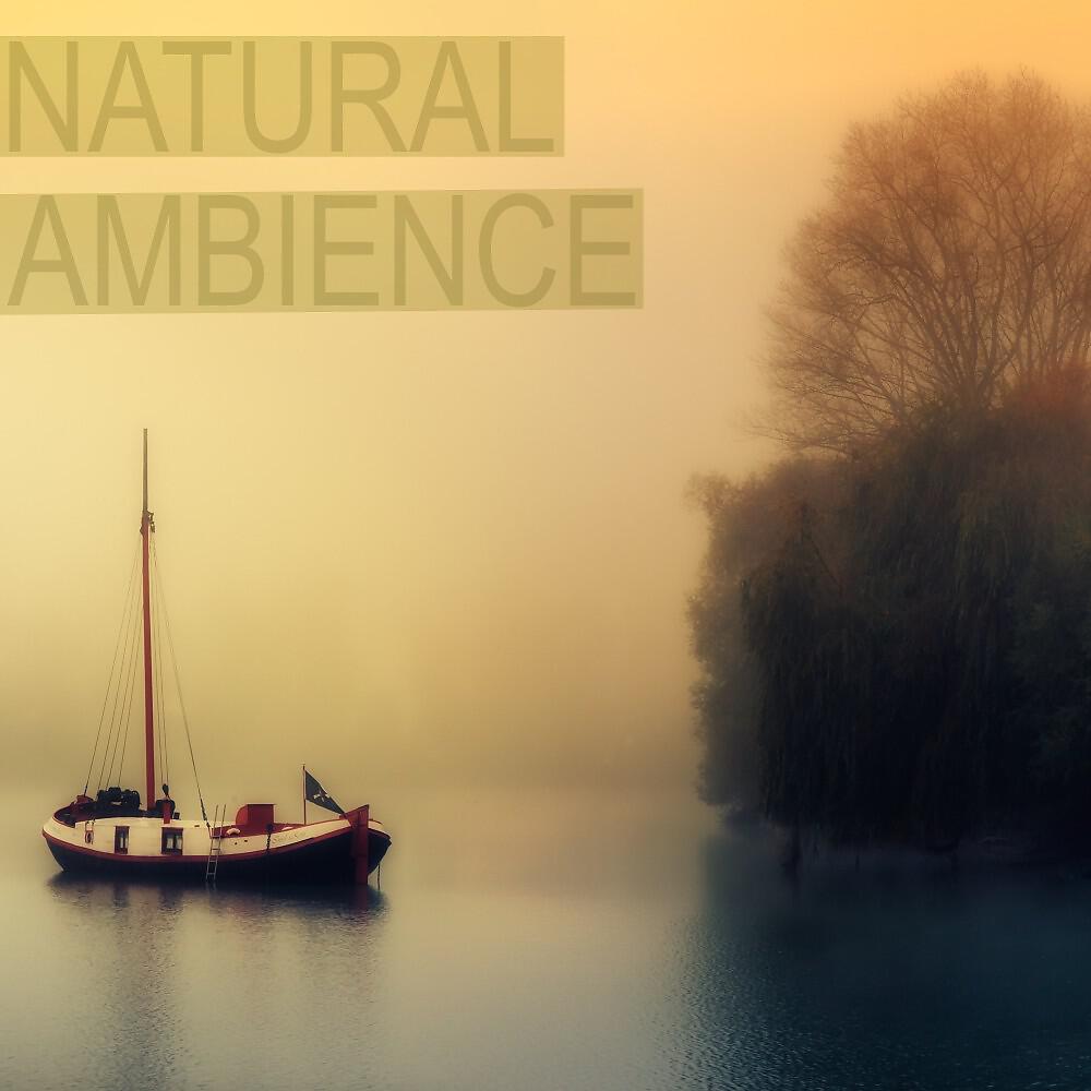 Nature Sounds Nature Music - Nature Sounds Nature Music