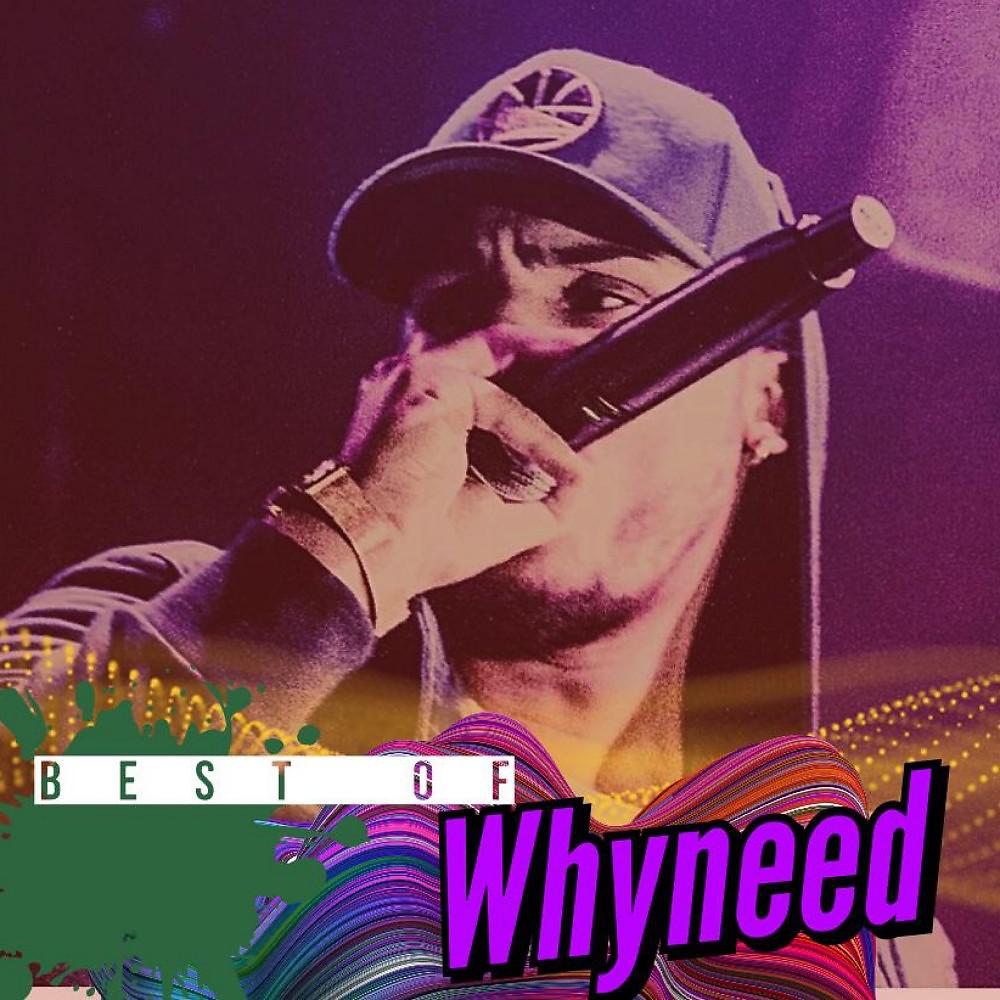 Постер альбома Best of Whyneed