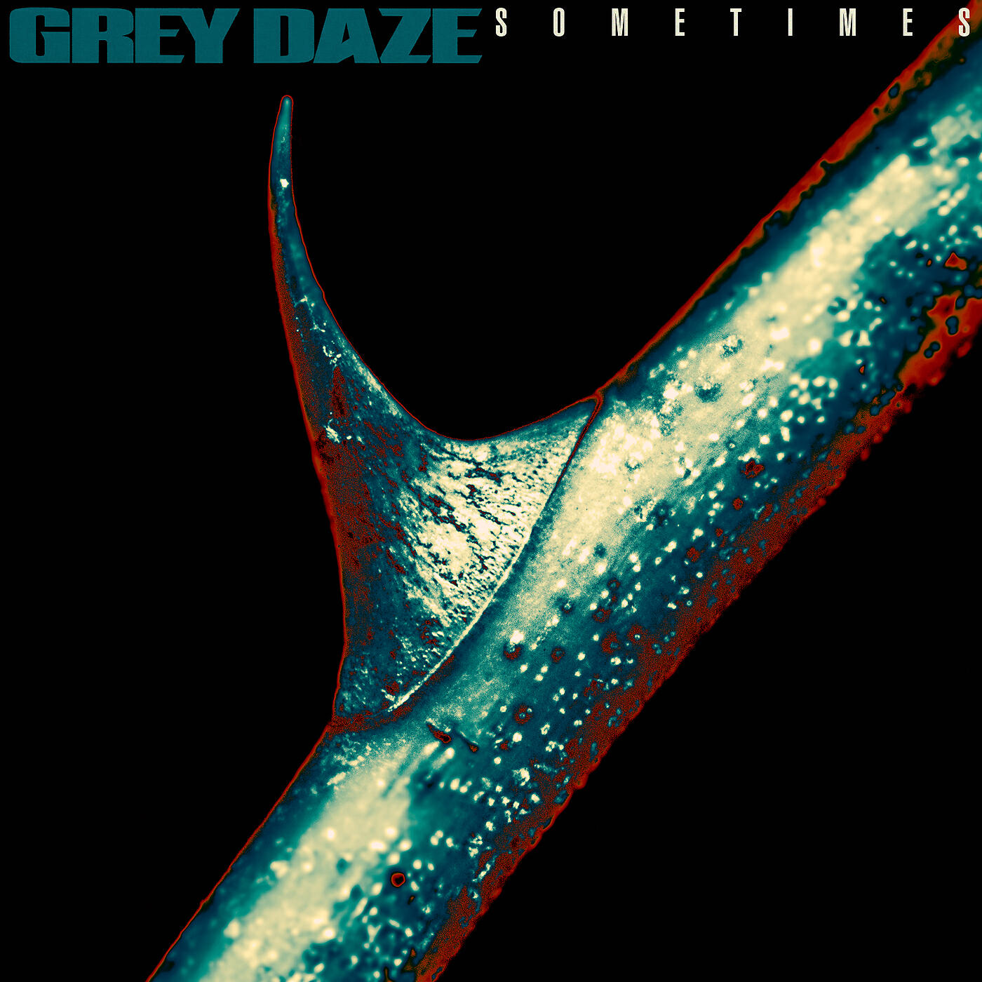 Grey daze. Grey Daze amends 2020. Grey Daze albums amends. Grey Daze b12 обложка. Grey Daze sometimes.