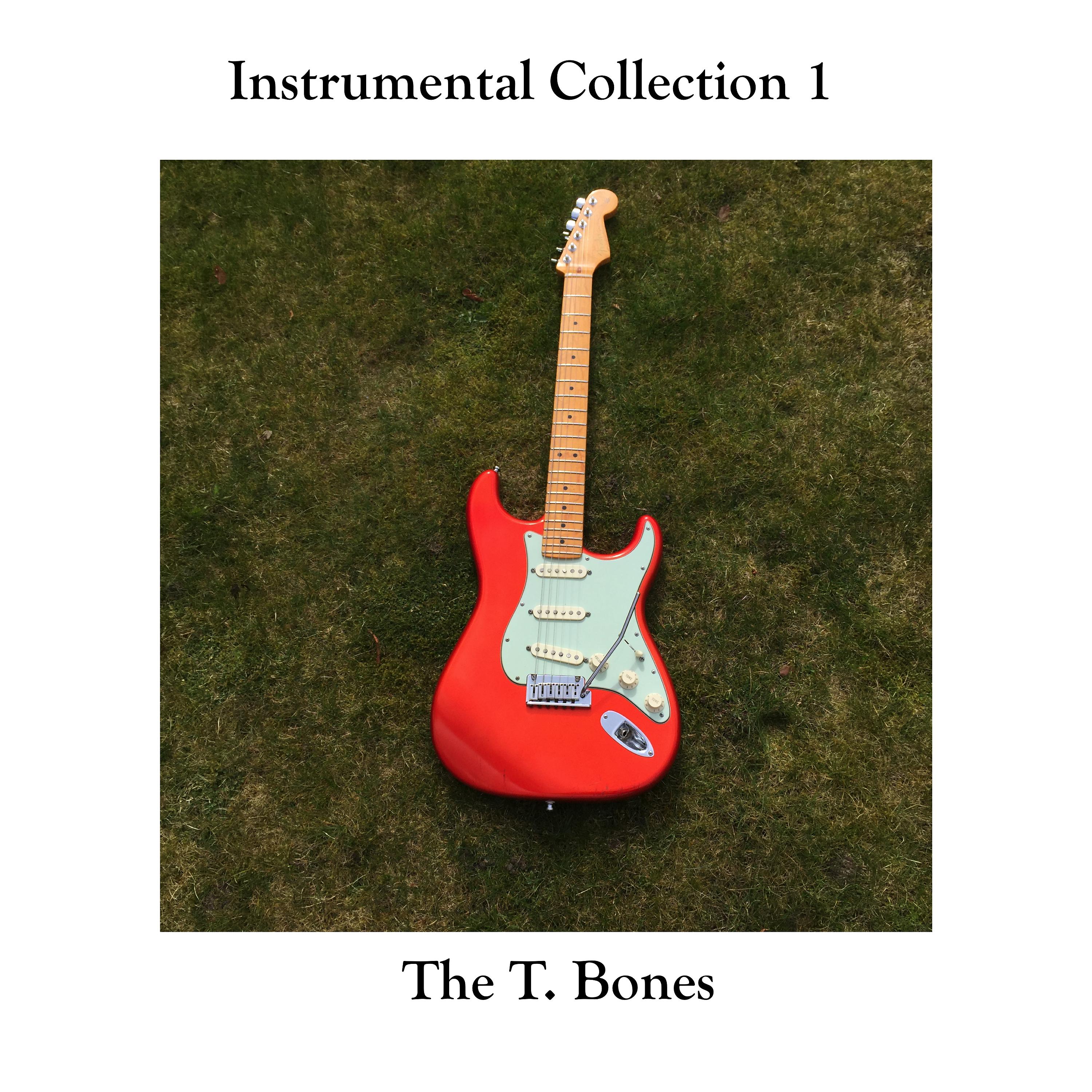 Постер альбома Instrumental Collection, Vol. 1