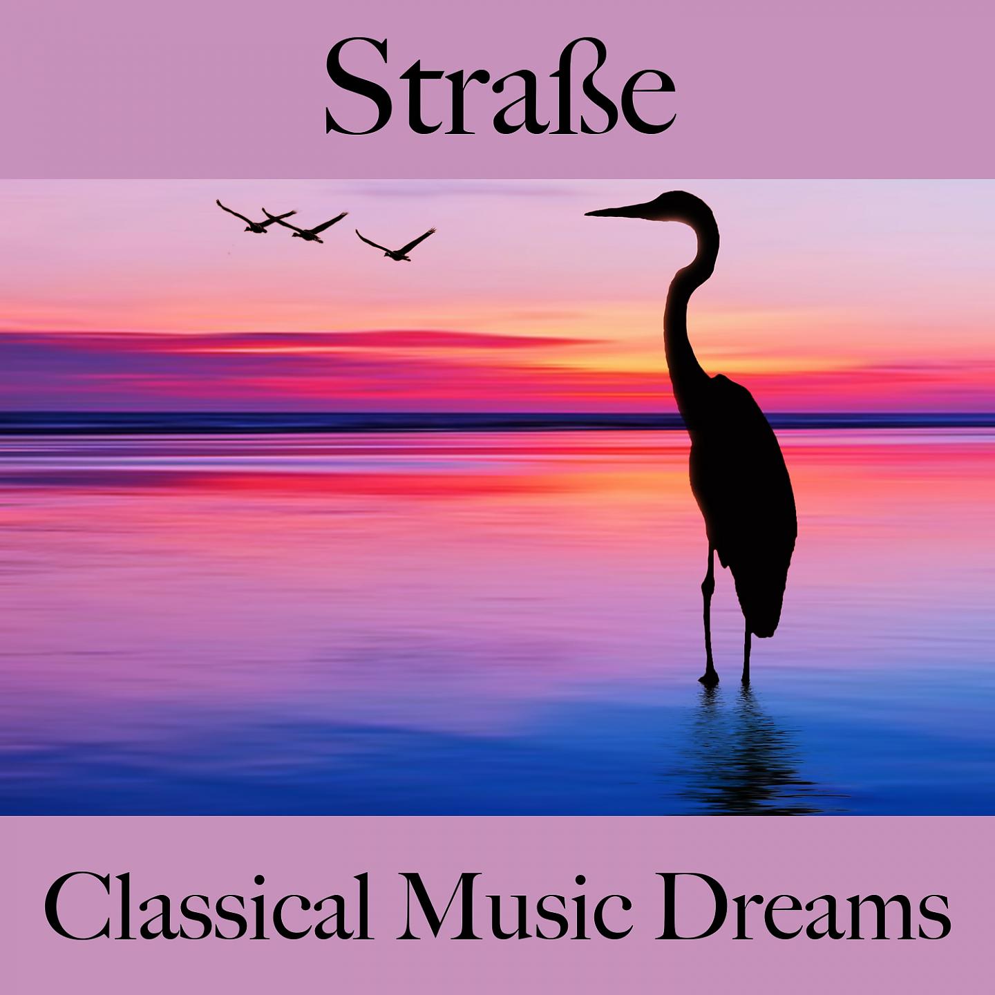 Постер альбома Straße: Classical Music Dreams - Die Besten Sounds Zum Entspannen