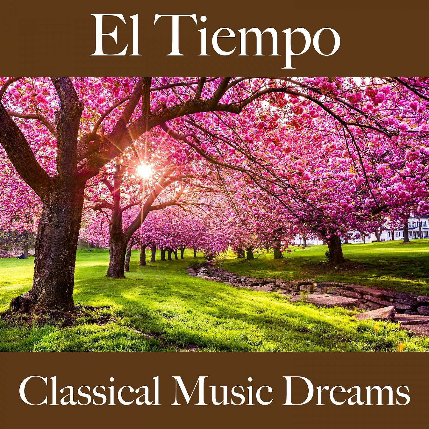 Постер альбома El Tiempo: Classical Music Dreams - La Mejor Música Para Descansarse