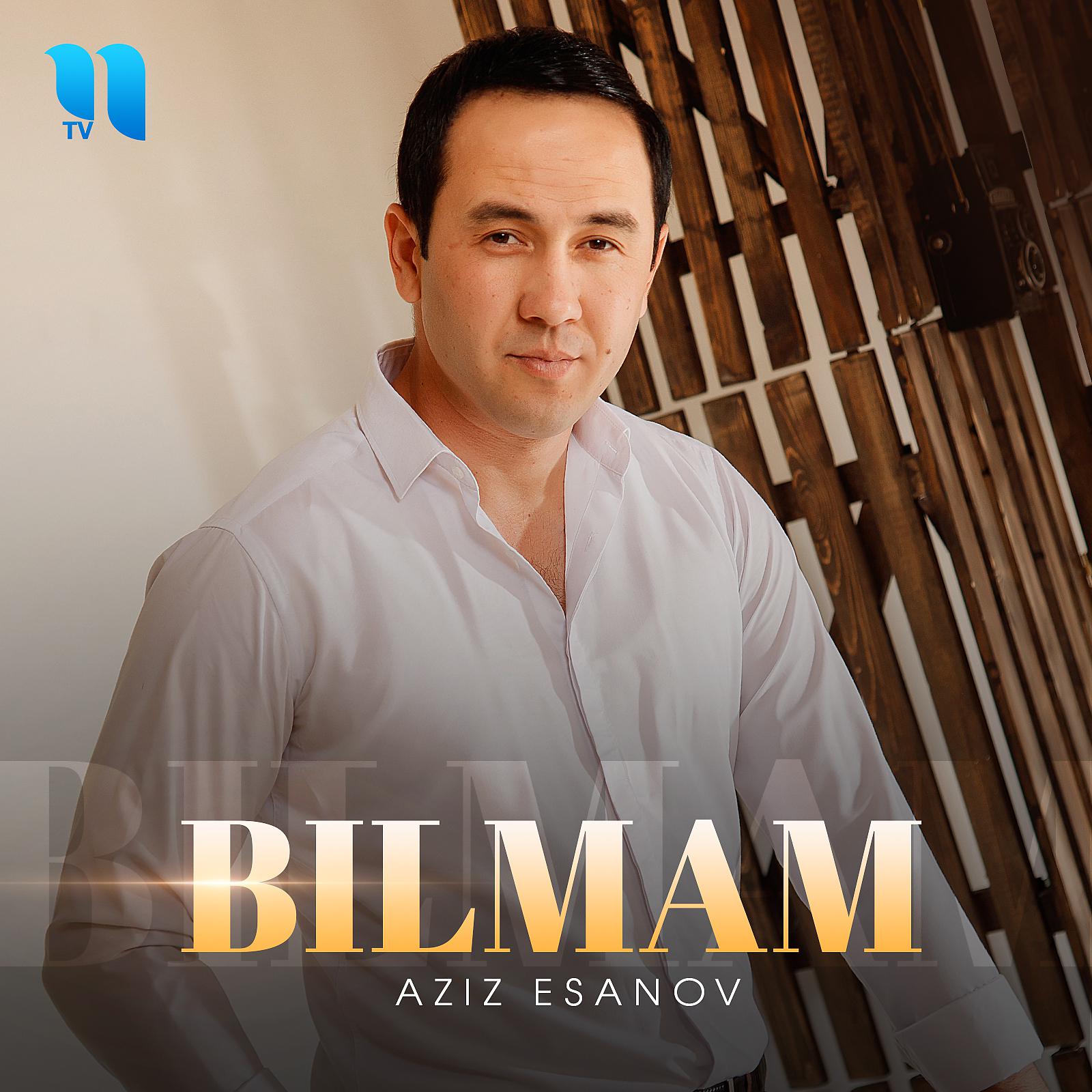 Постер альбома Bilmam