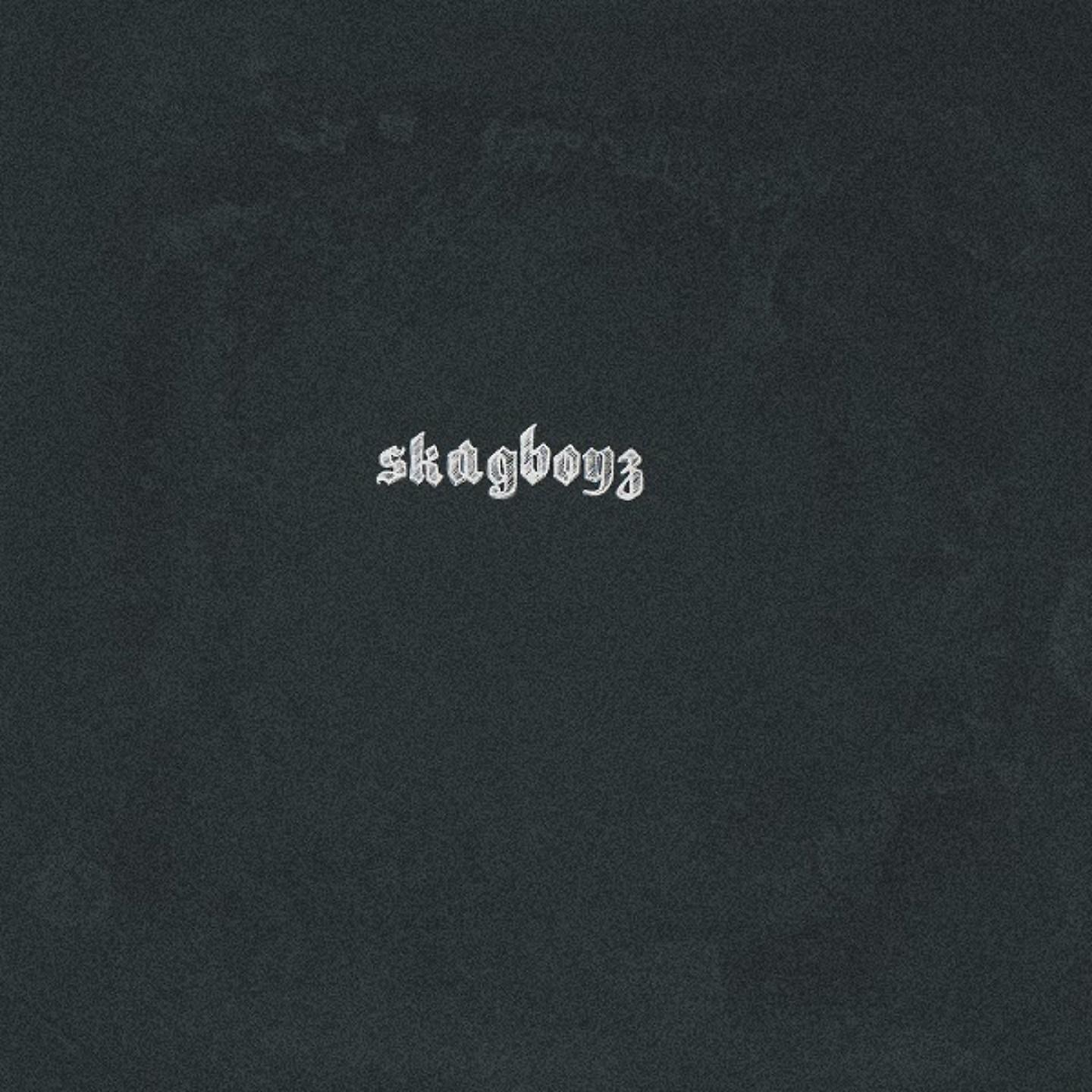 Постер альбома Skagboyz