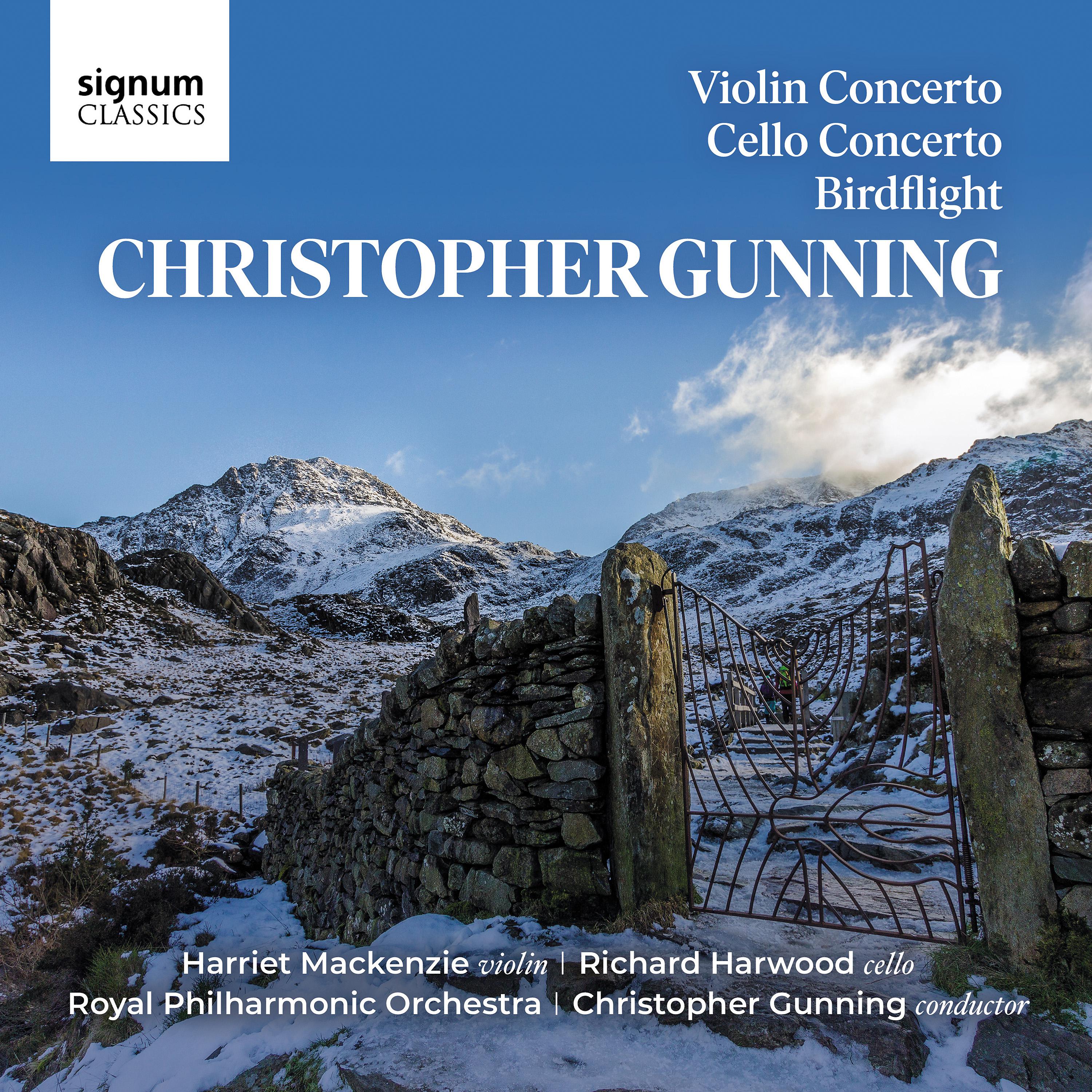 Постер альбома Violin Concerto: II