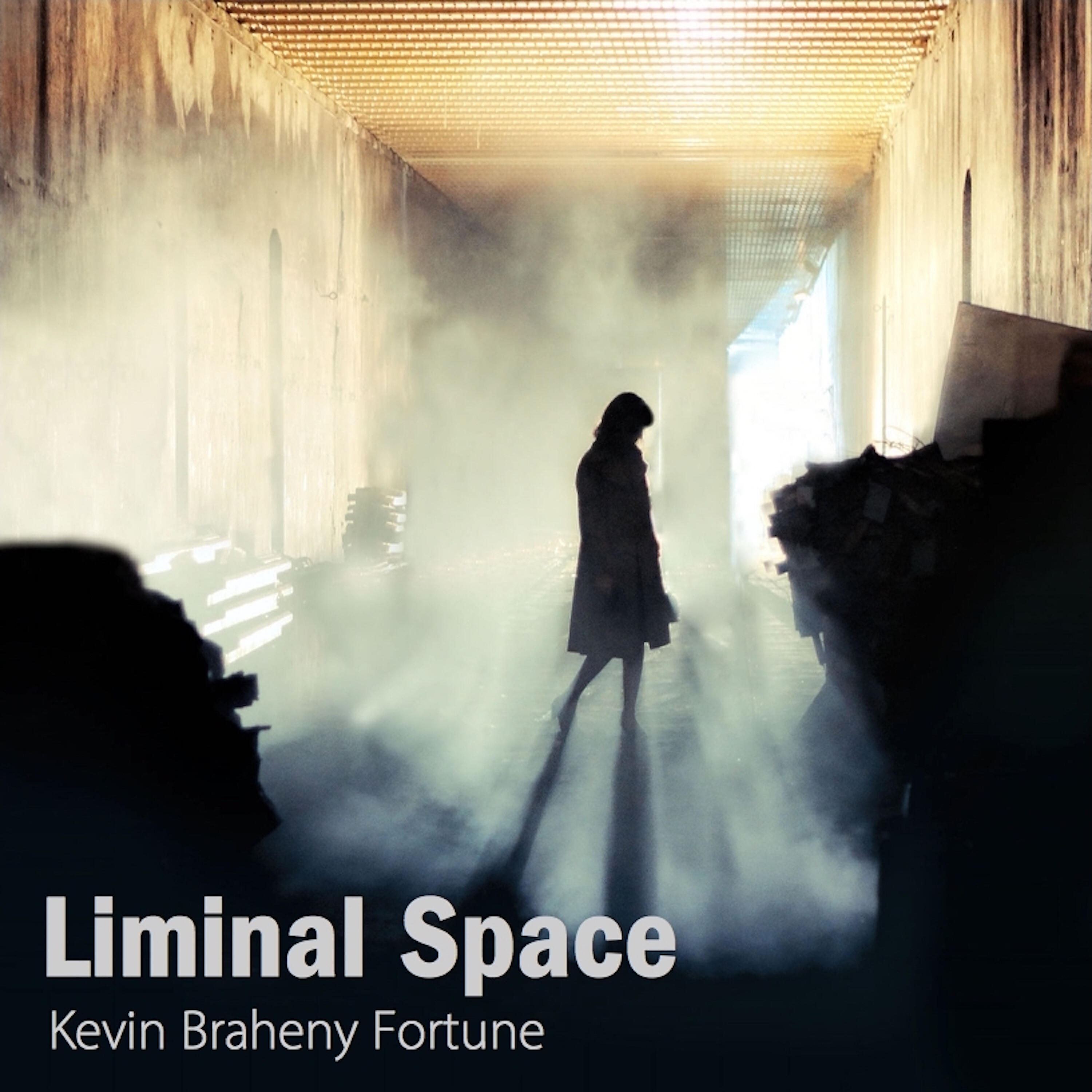Kevin Braheny Fortune - Liminal Space