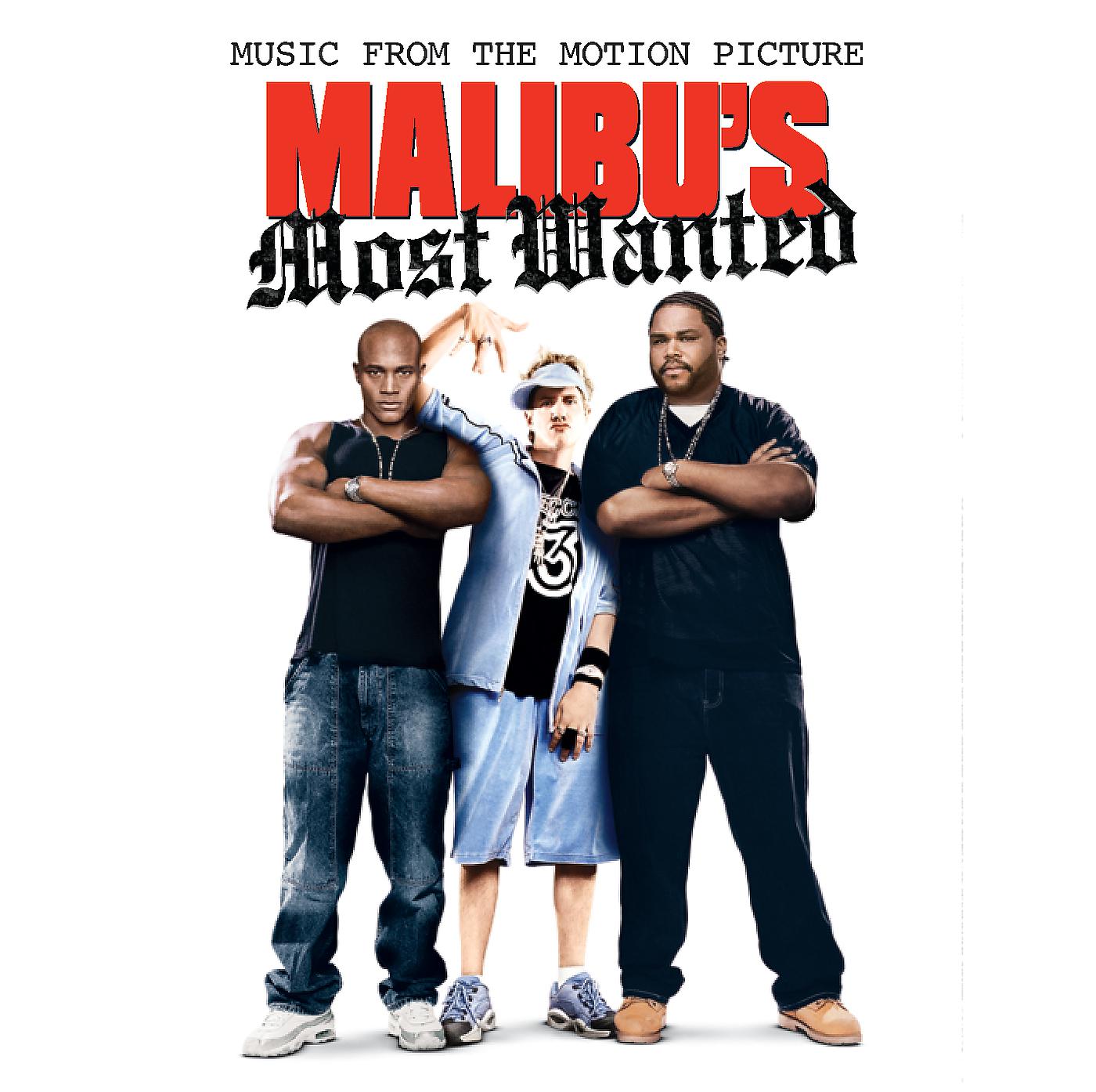 Постер альбома Malibu's Most Wanted