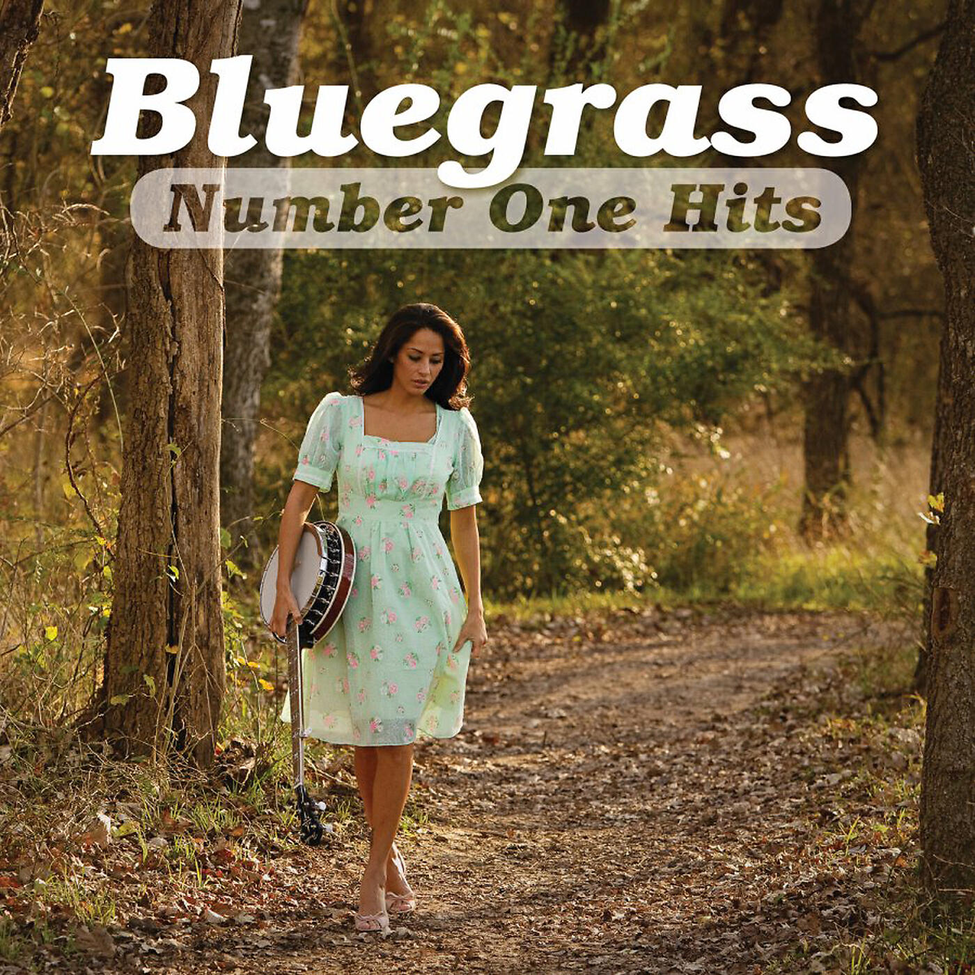 The Charlie Sizemore Band - Alison's Band
