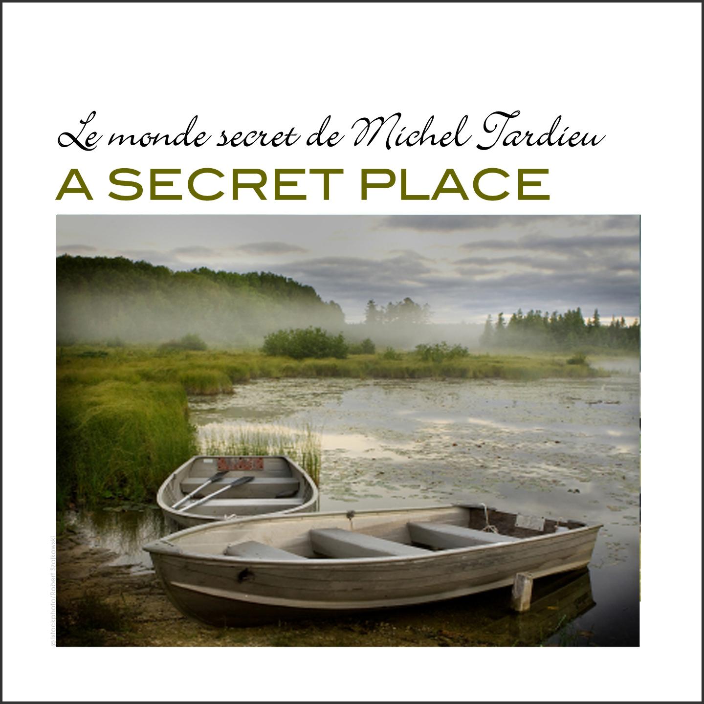 Постер альбома A Secret Place