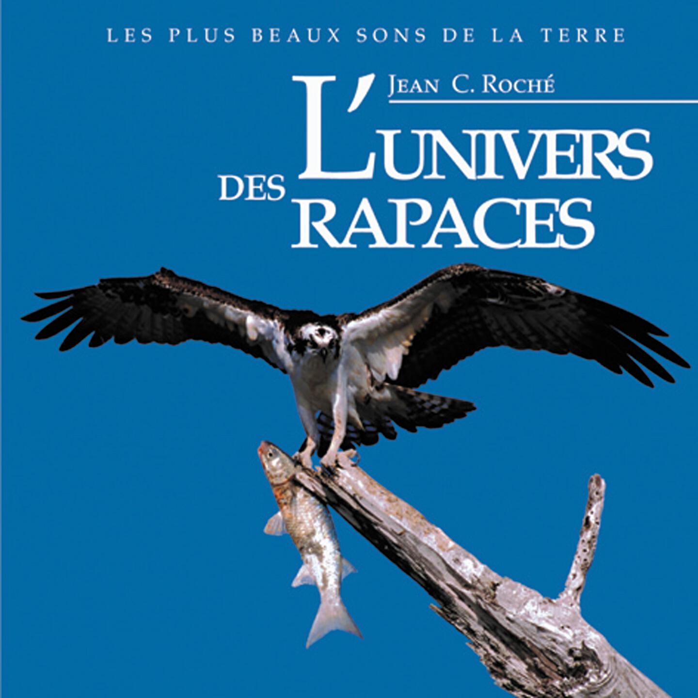 Jean C. Roché - Hibou des marais