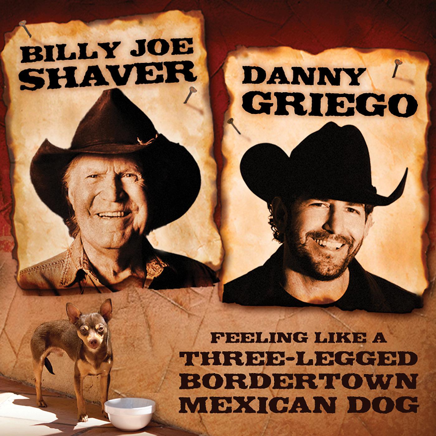 Постер альбома Feeling Like a Three-Legged BorderTown Mexican Dog