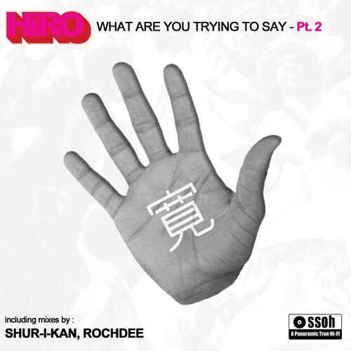 HIRO - What Are You Trying to Say (Shur-i-kan Mix)