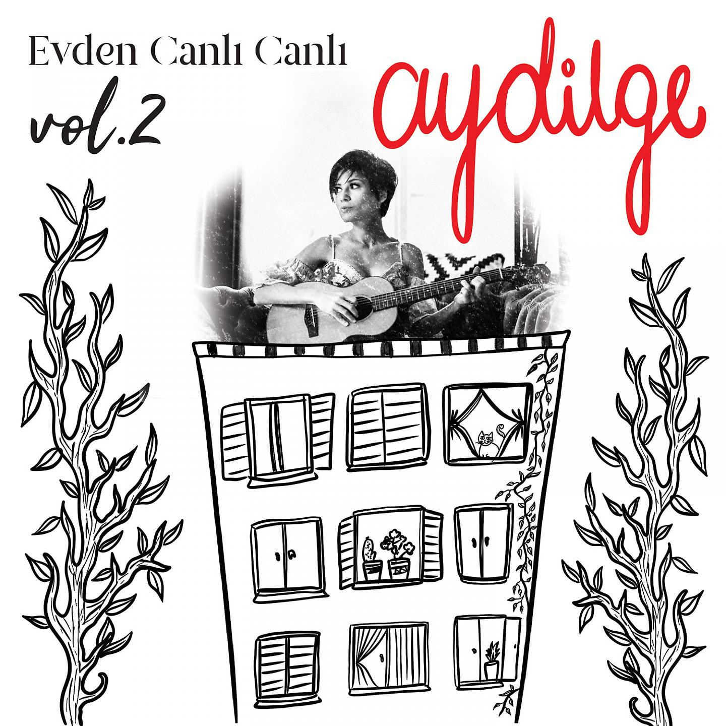 Постер альбома Evden Canlı Canlı, Vol. 2