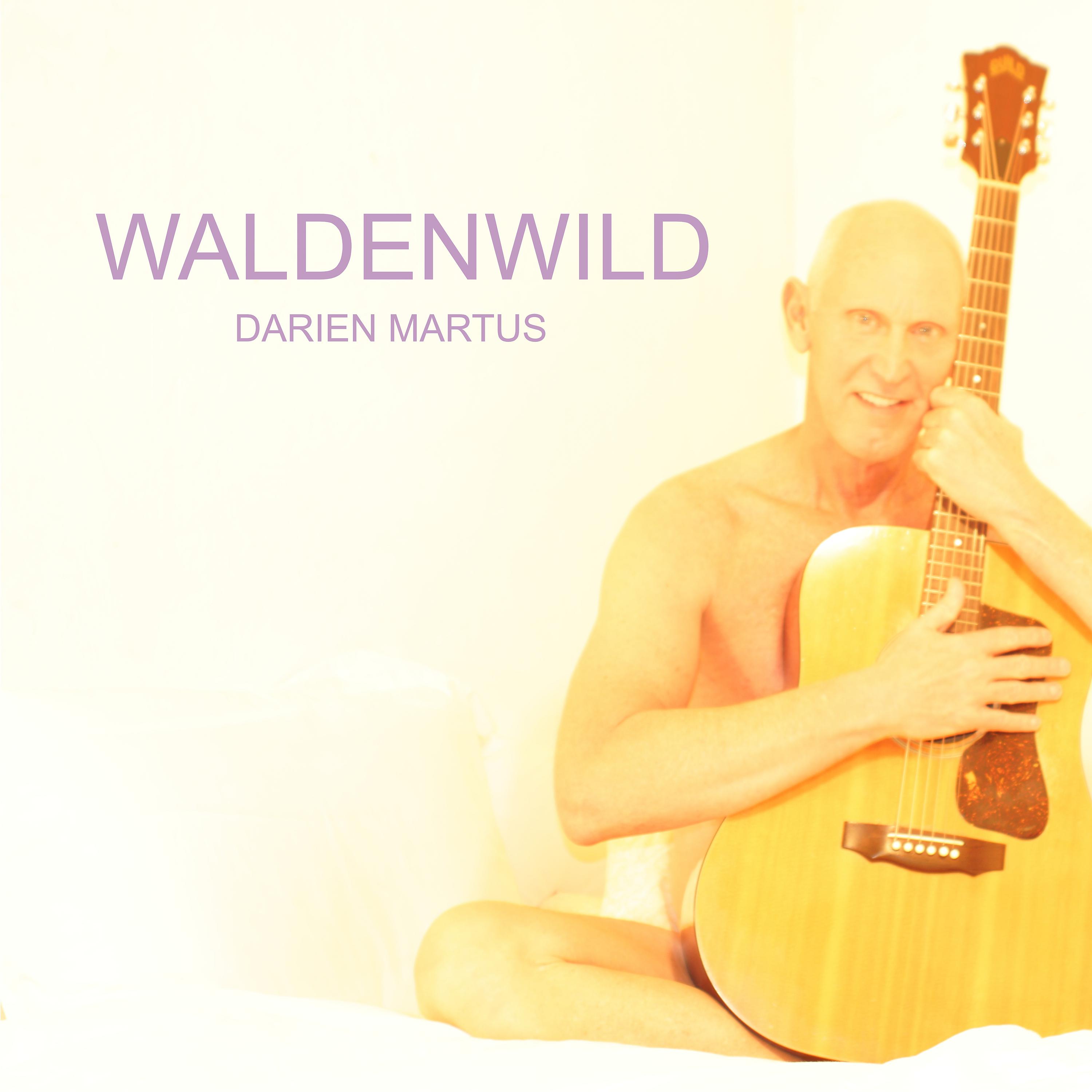 Постер альбома Waldenwild