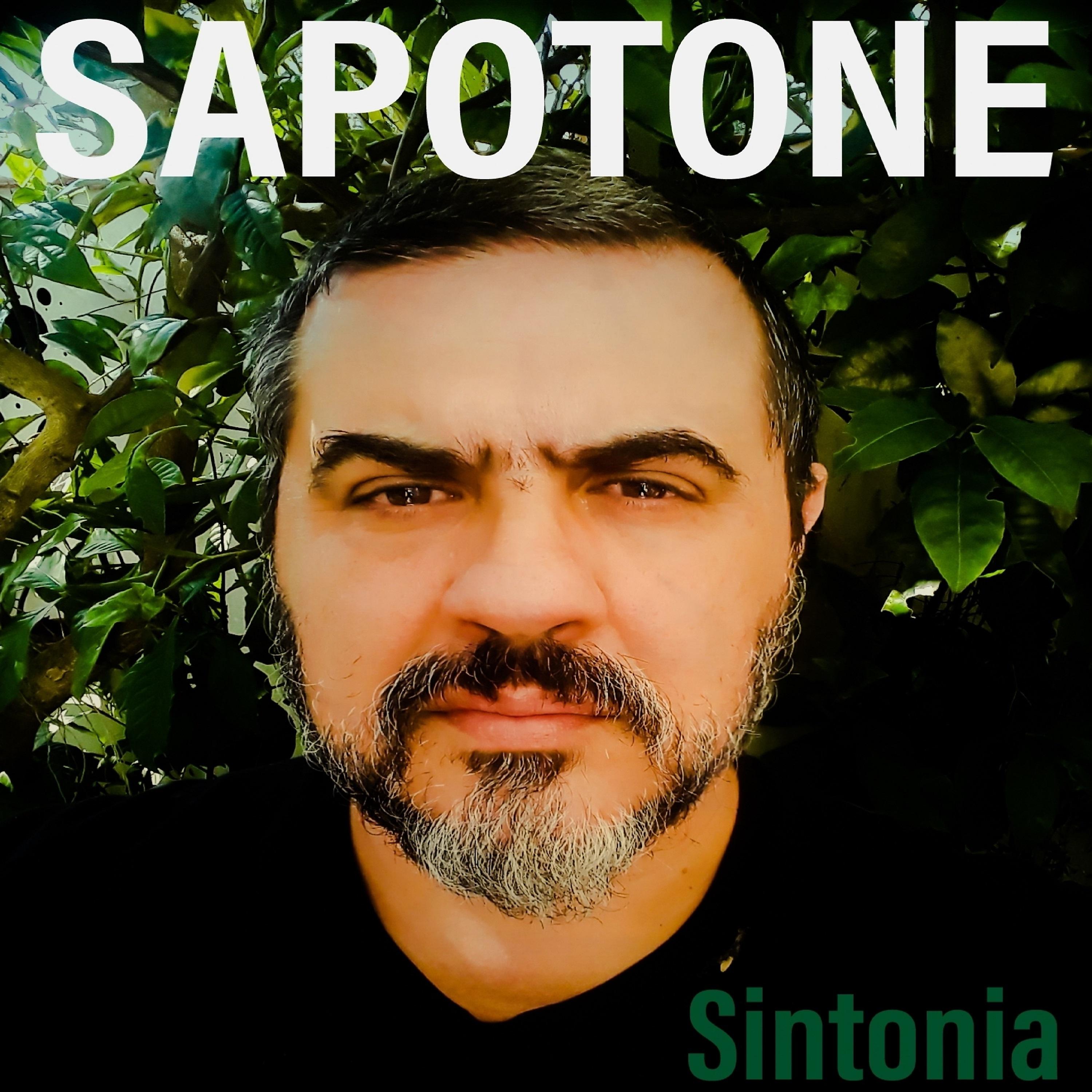 Постер альбома Sintonia
