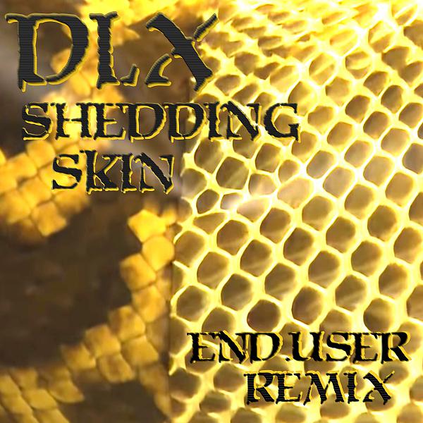 Постер альбома Shedding Skin