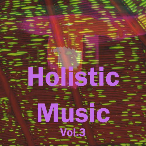Постер альбома Holistic Music, Vol. 3