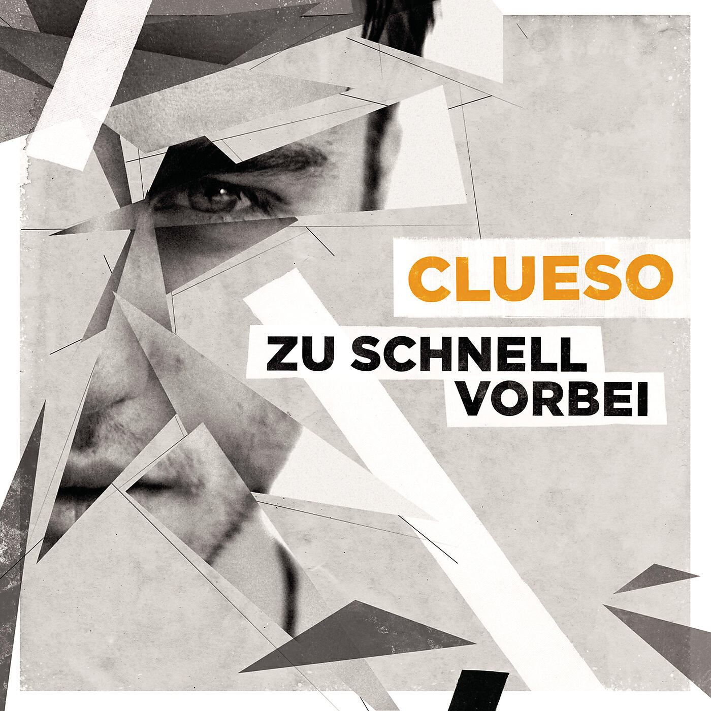Clueso - Zu schnell vorbei (Robot Koch Remix)