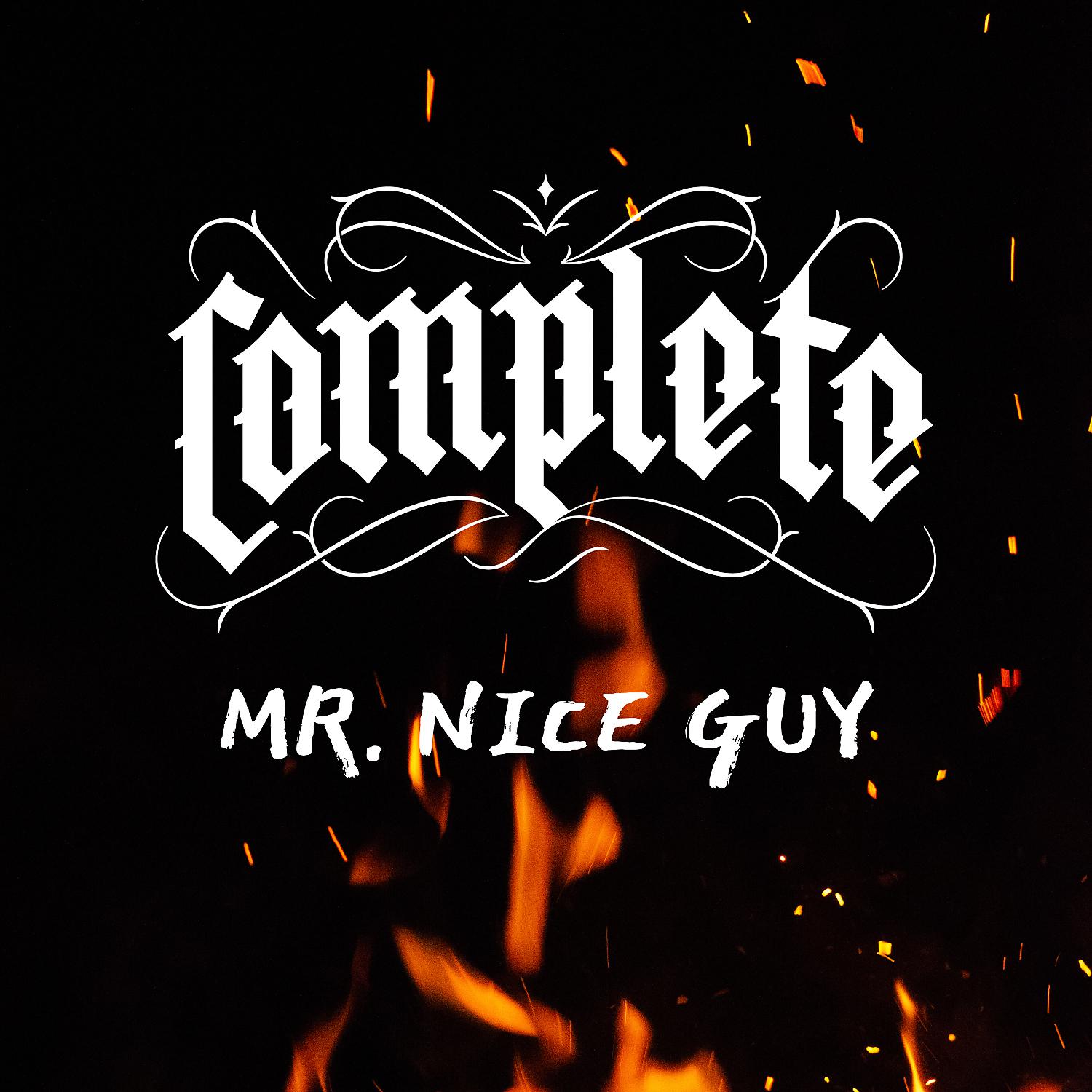 Постер альбома Mr Nice Guy