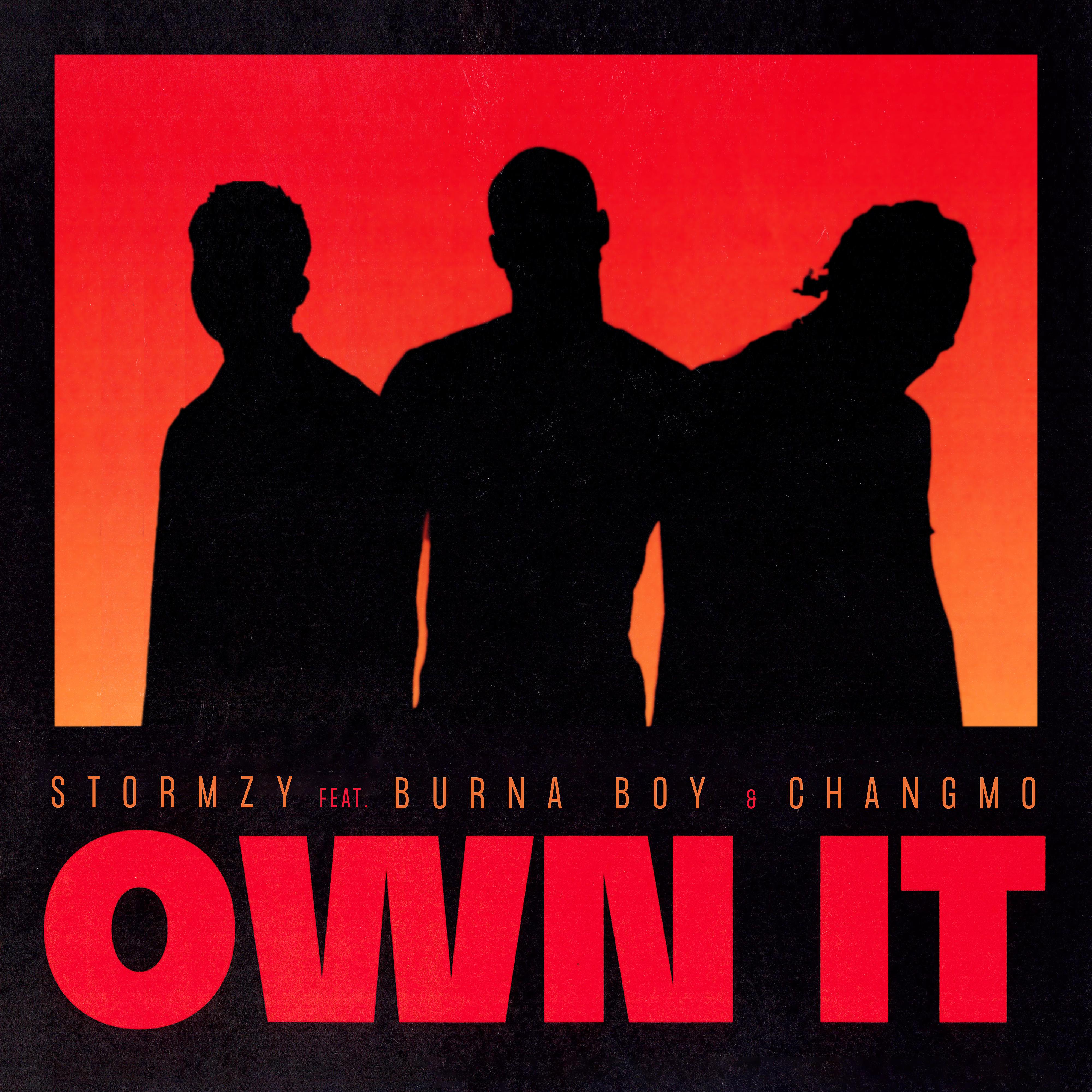 Постер альбома Own It (feat. Burna Boy & CHANGMO)