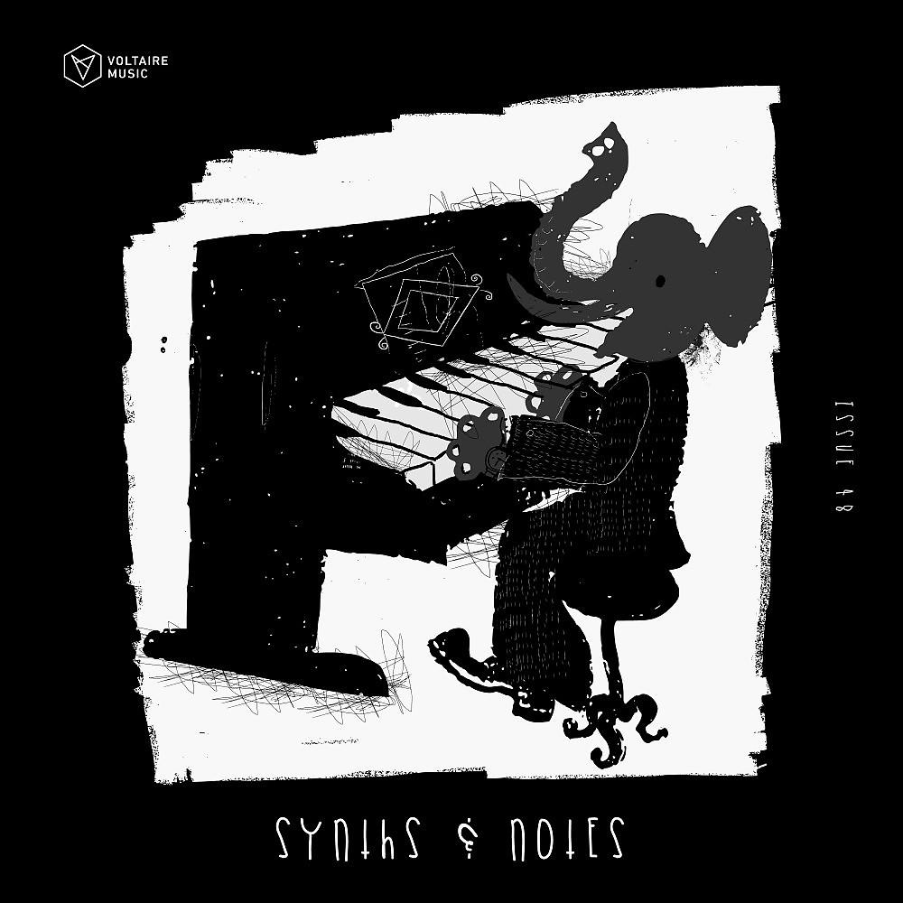 Постер альбома Synths and Notes 48