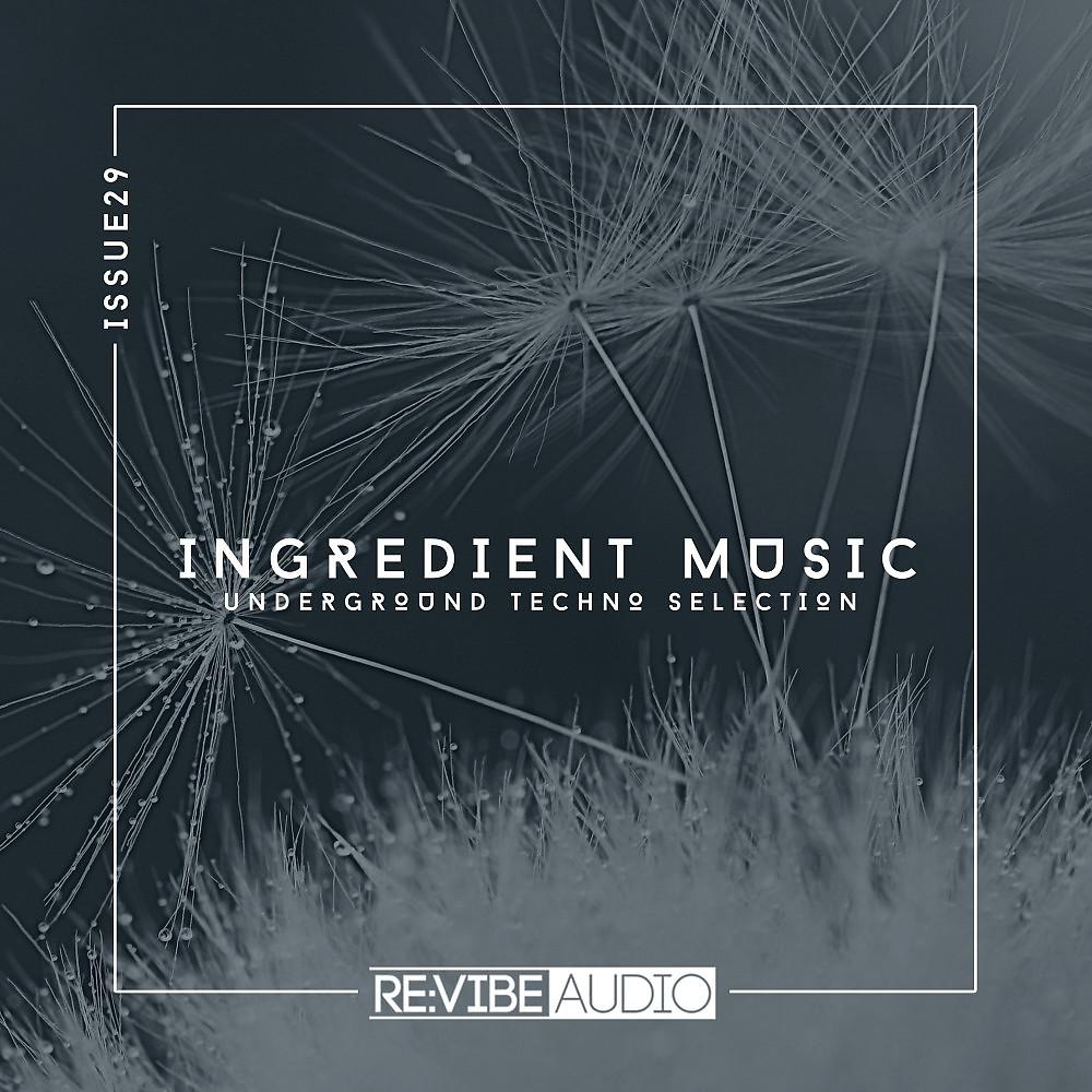 Постер альбома Ingredient Music, Vol. 29