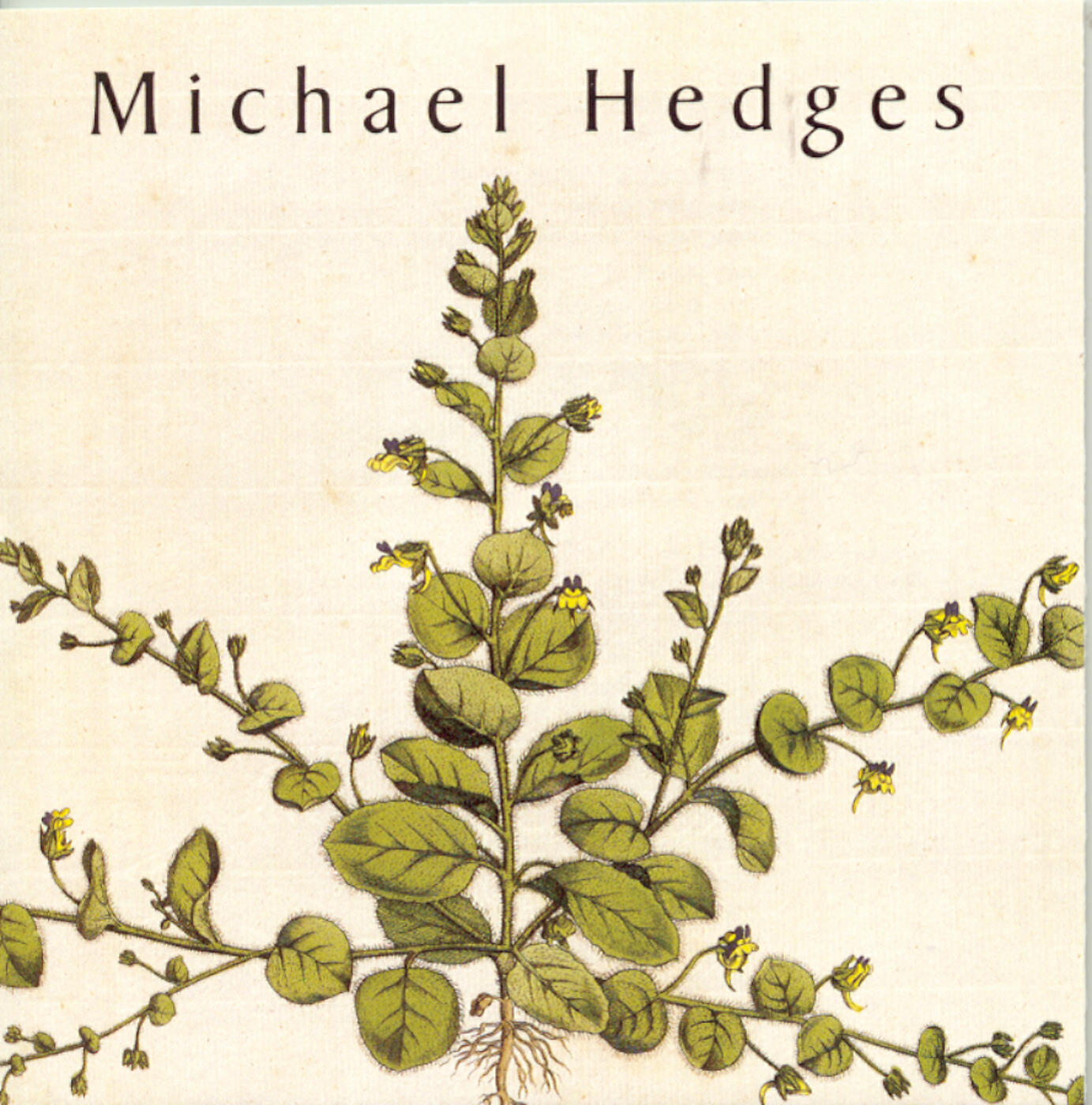 Michael Hedges - The Jade Stalk