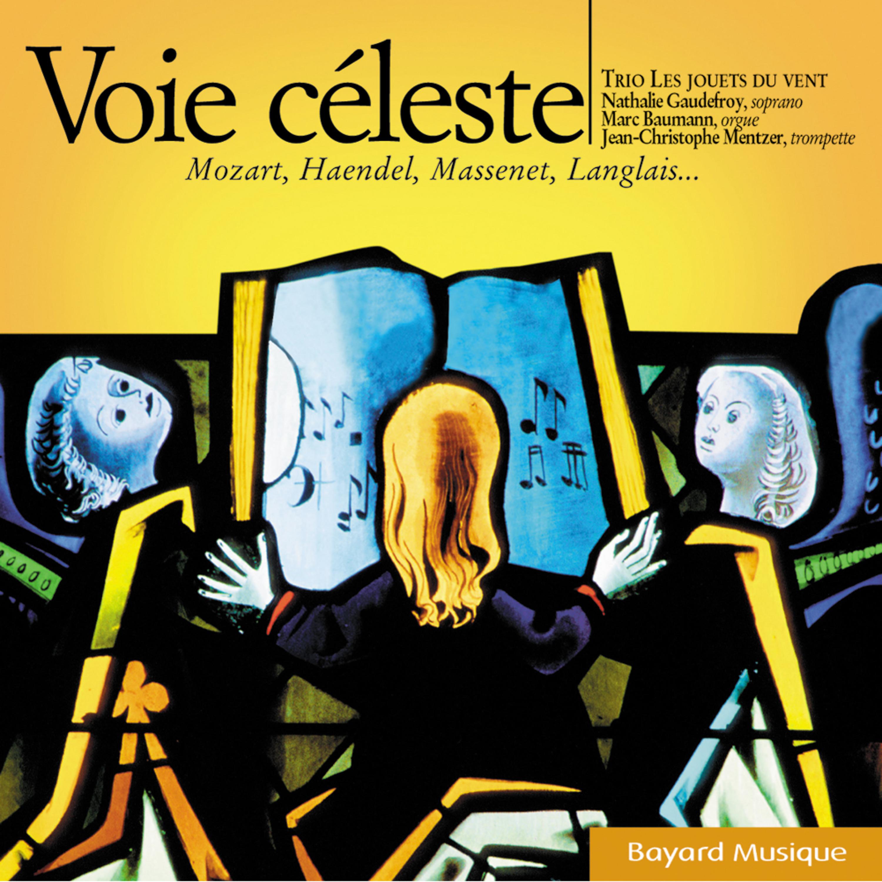 Постер альбома Voie céleste