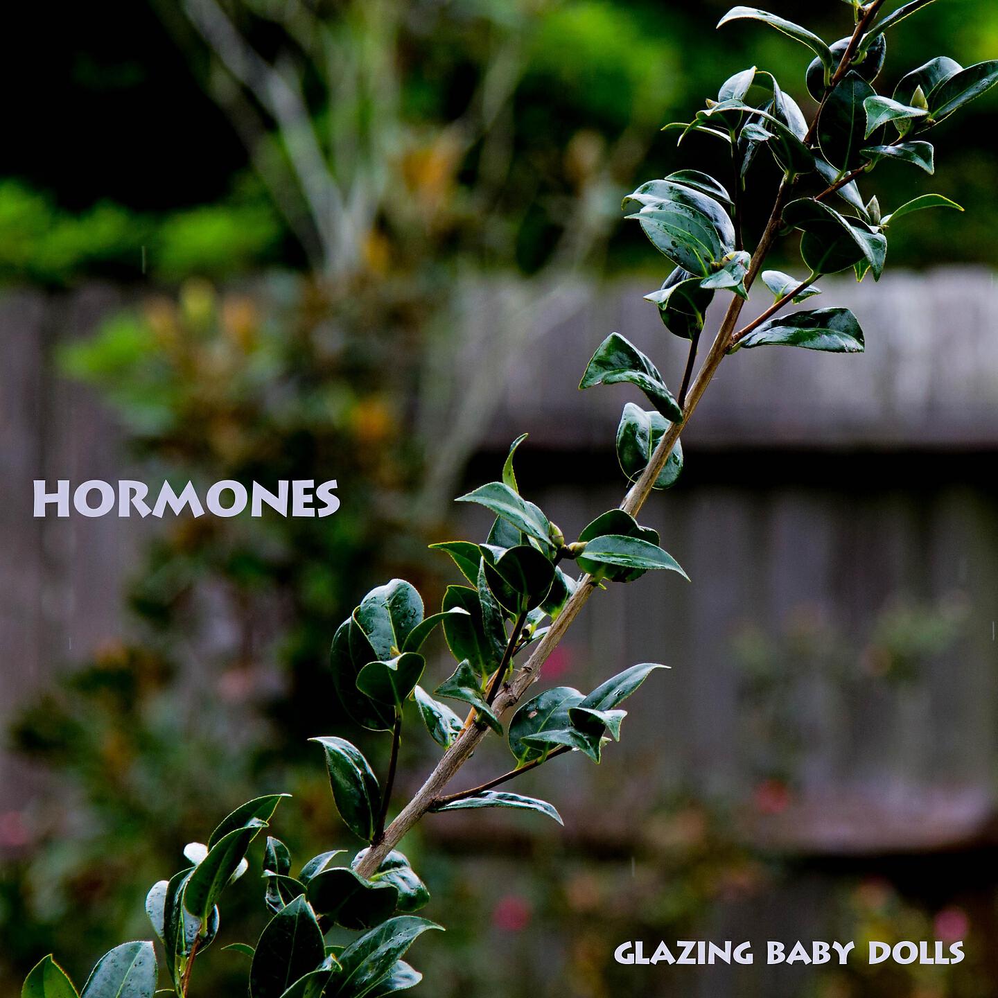 Glazing Baby Dolls - Neighbours Old Bones