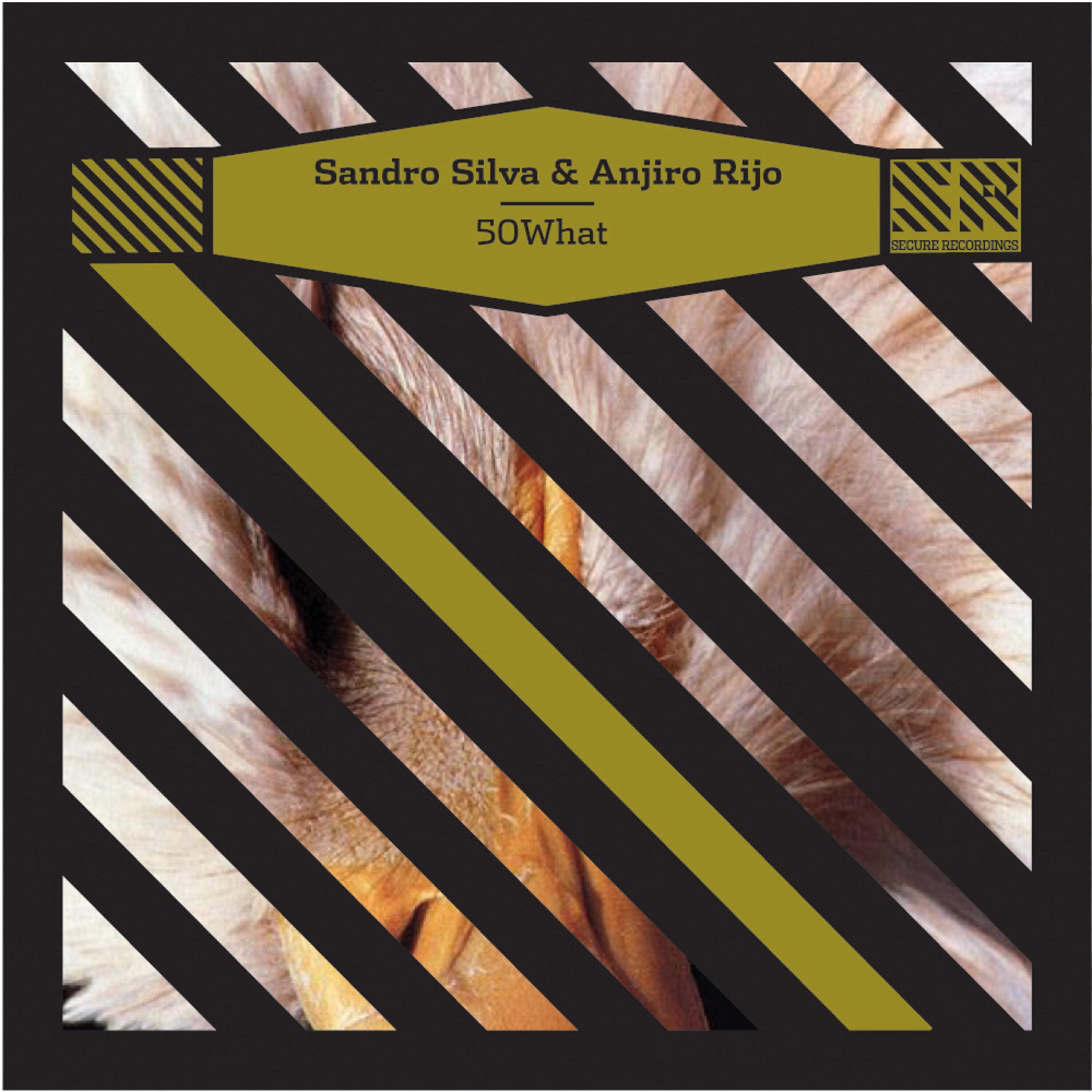 Sandro Silva - Vanilla Candy (Original Mix)