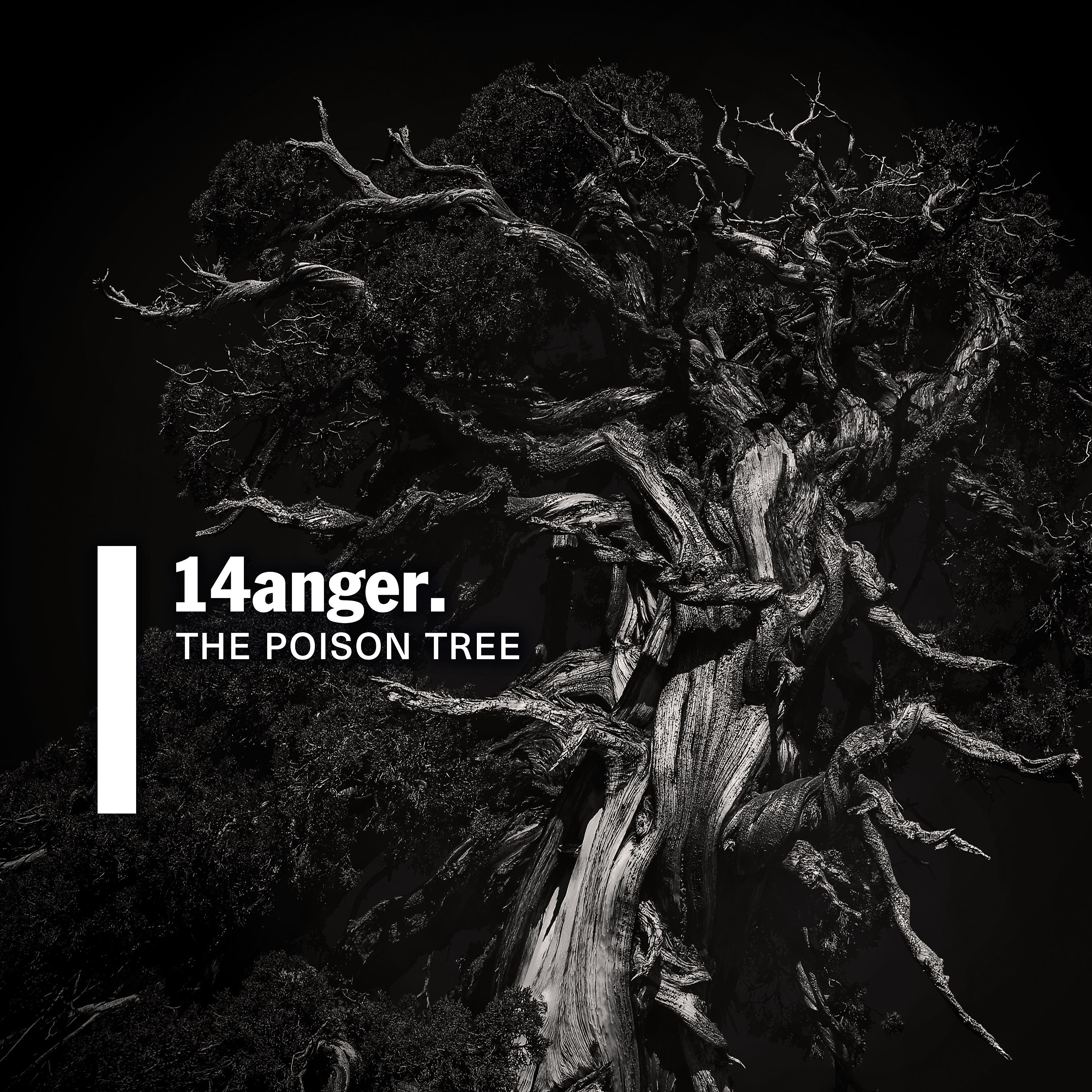 Постер альбома The Poison Tree