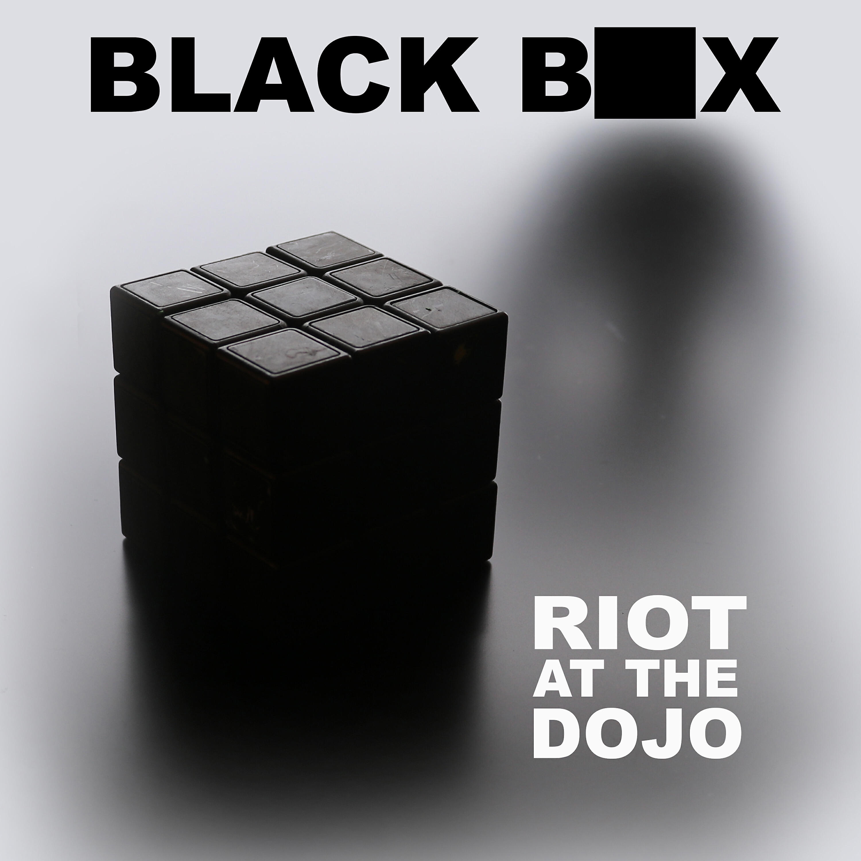 Riot at the Dojo - Diss Track Suit