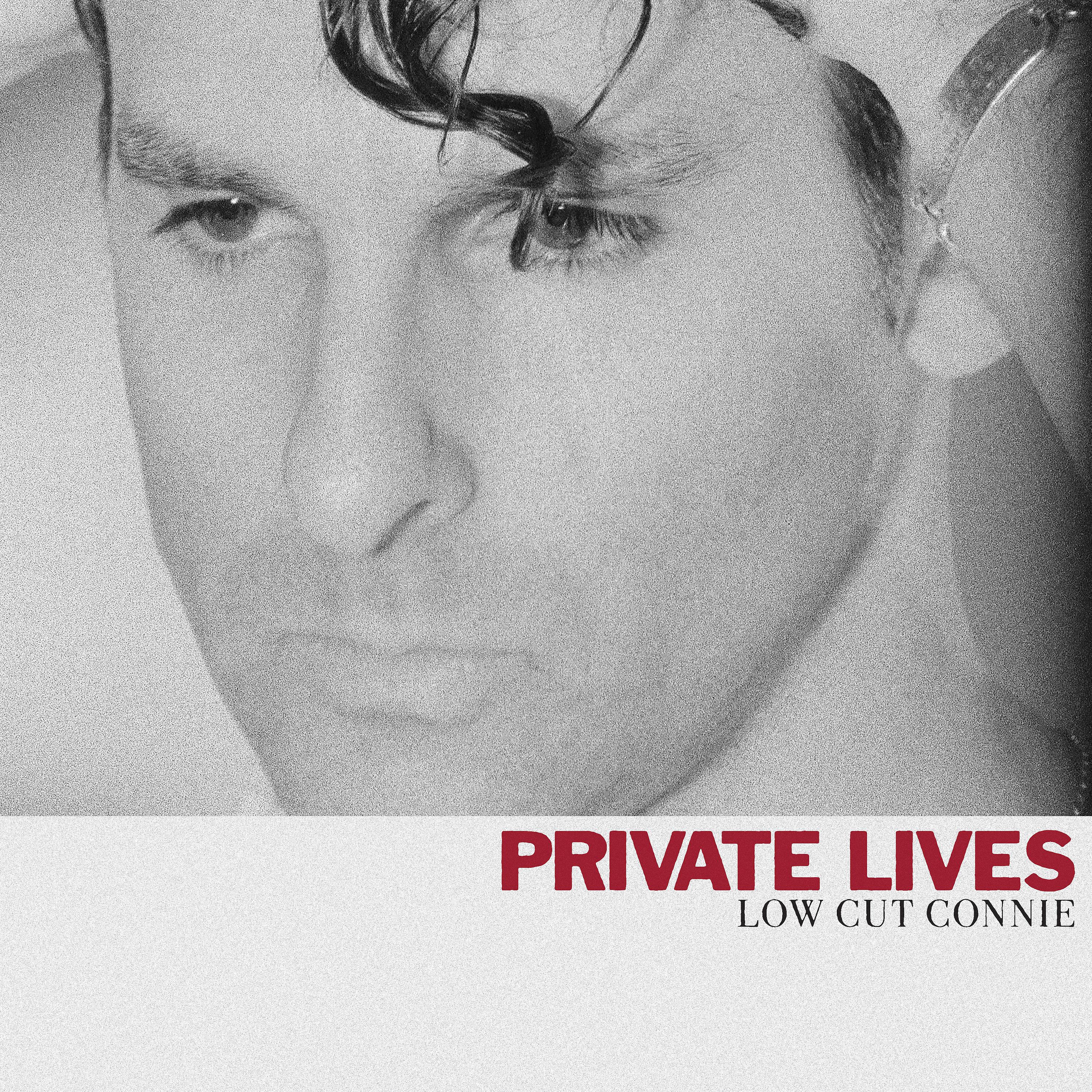 Постер альбома Private Lives