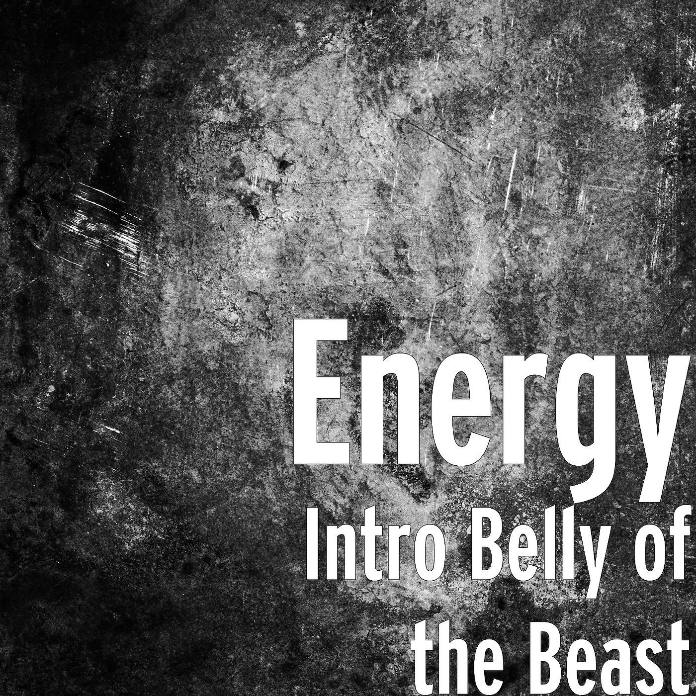 Постер альбома Intro Belly of the Beast