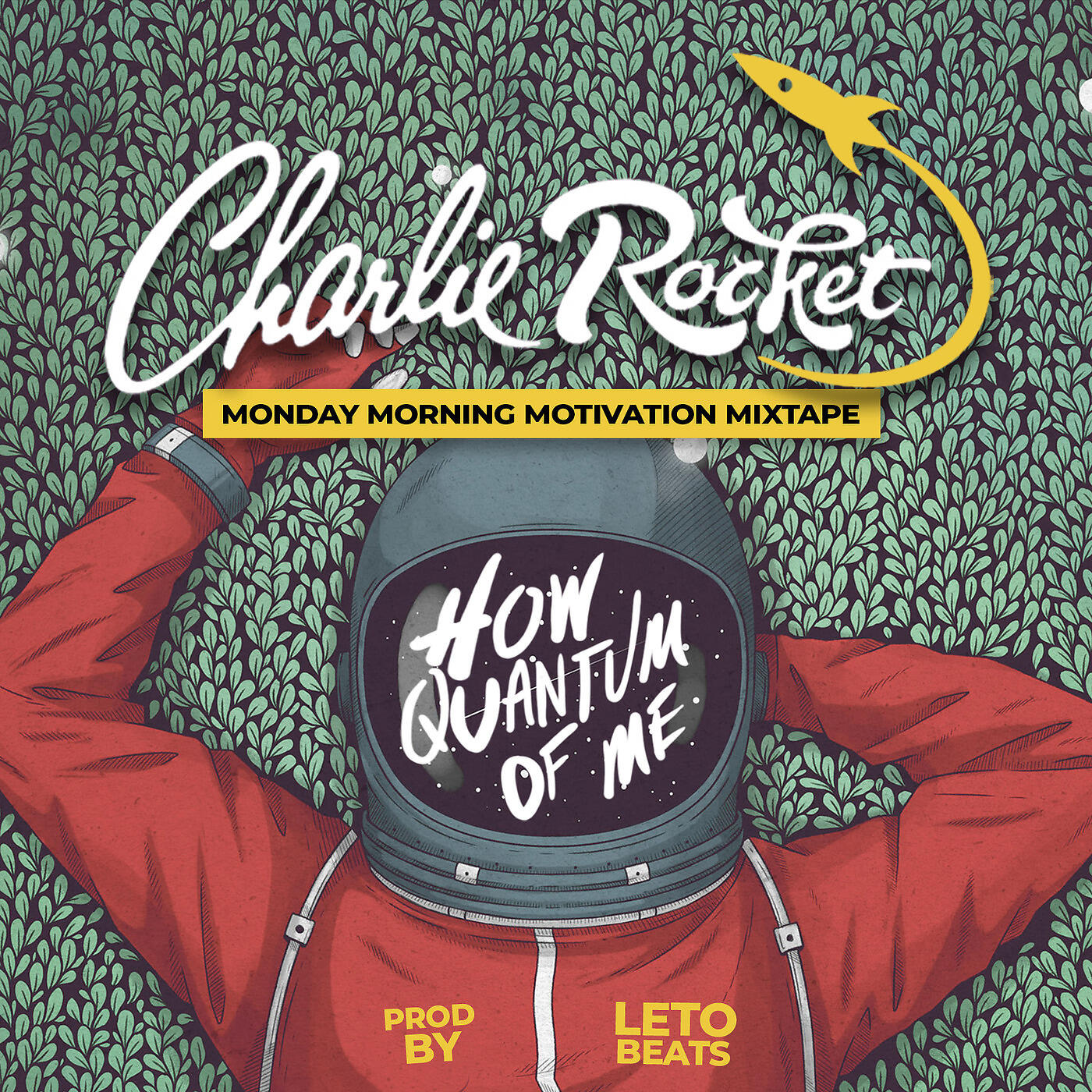 Charlie Rocket - Double Slit Test