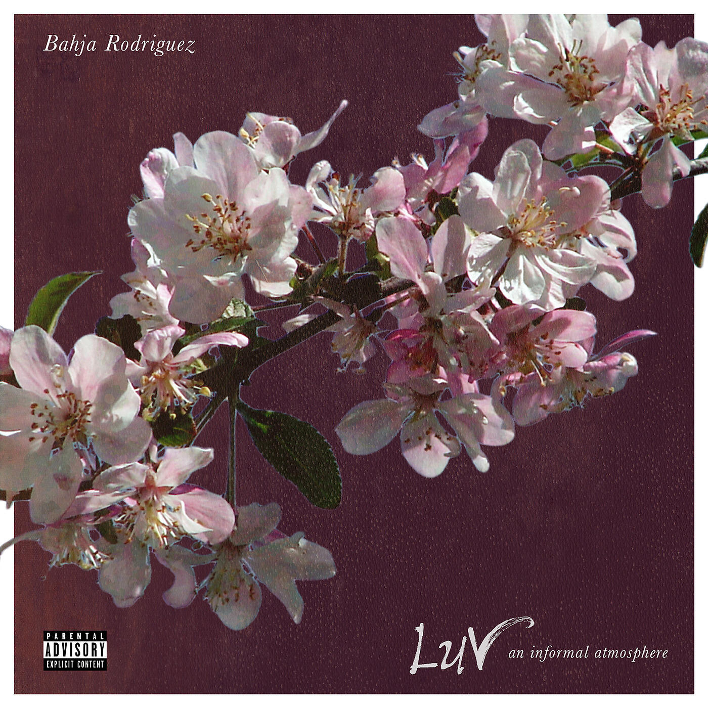 Bahja Rodriguez - Say It