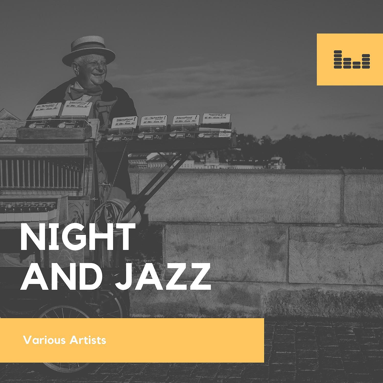 Постер альбома Night and Jazz