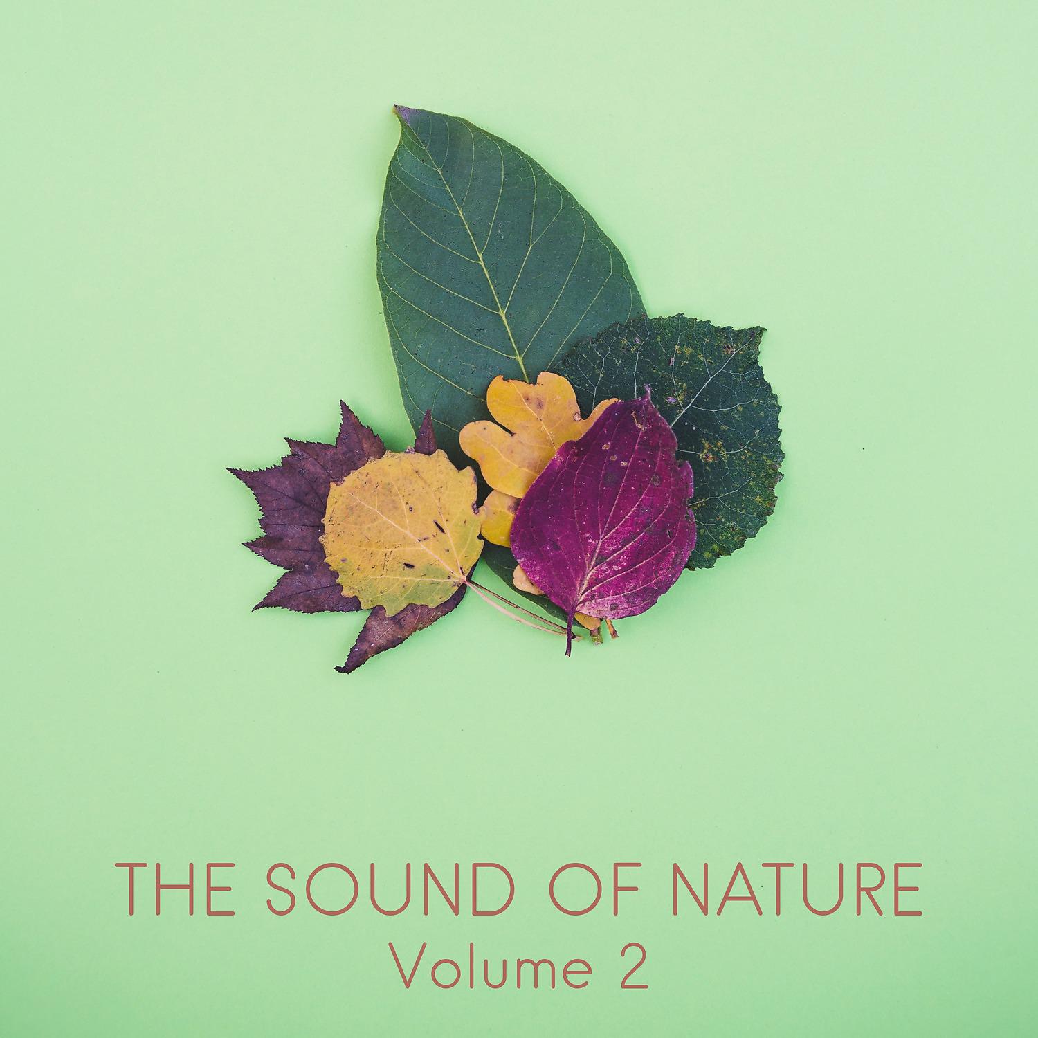 Постер альбома The Sound of Nature, Vol. 2