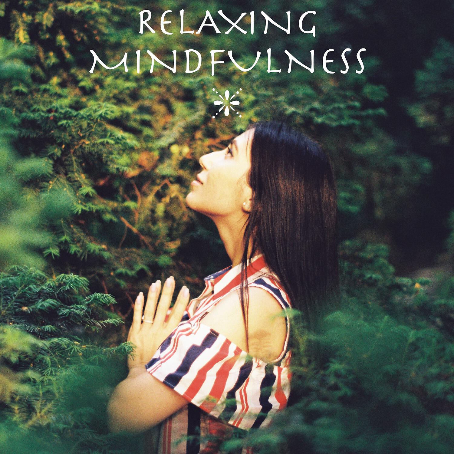 Relaxing Mindfulness Meditation Relaxation Maestro - Azalys