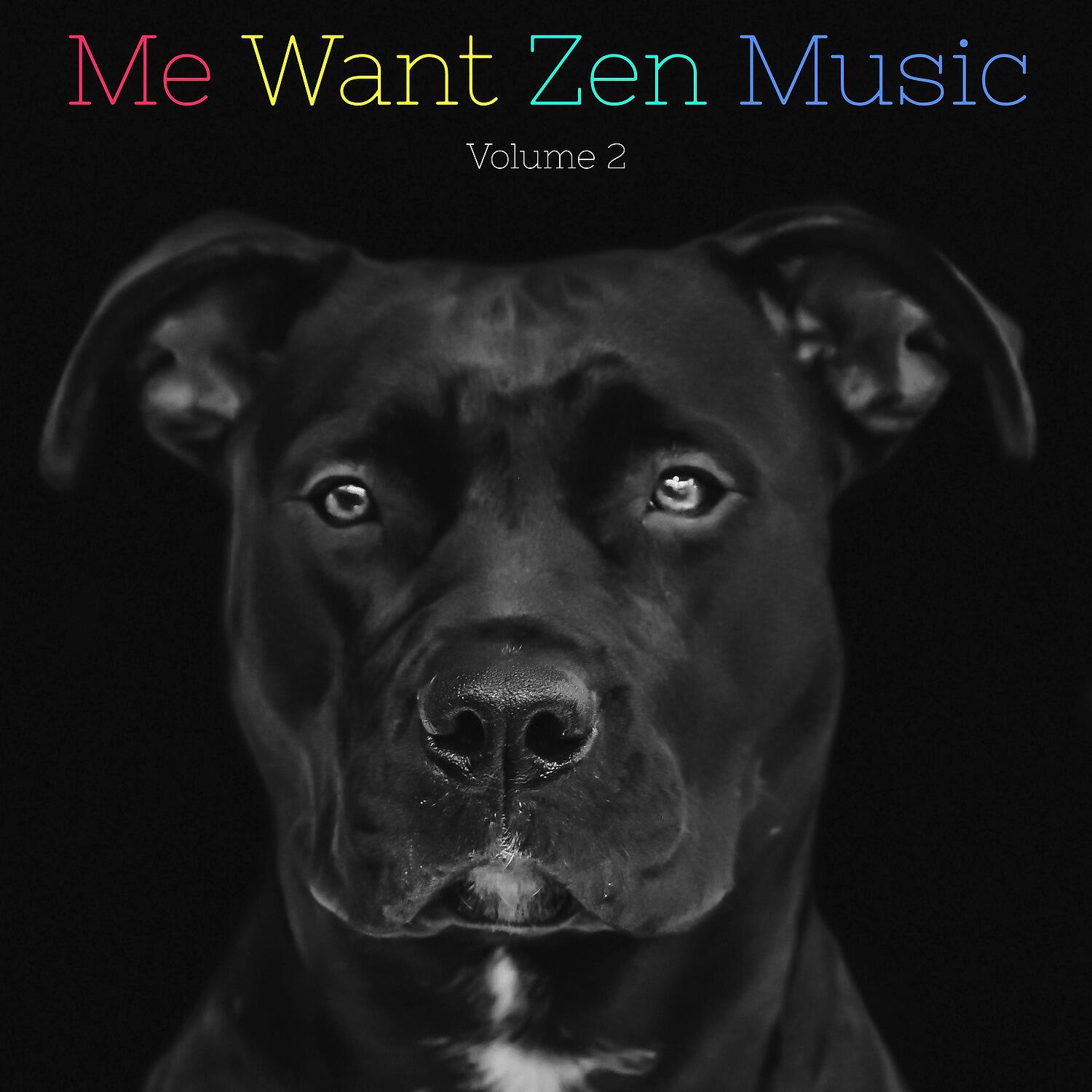 Sleeping Music For Dogs - First Days of Spring