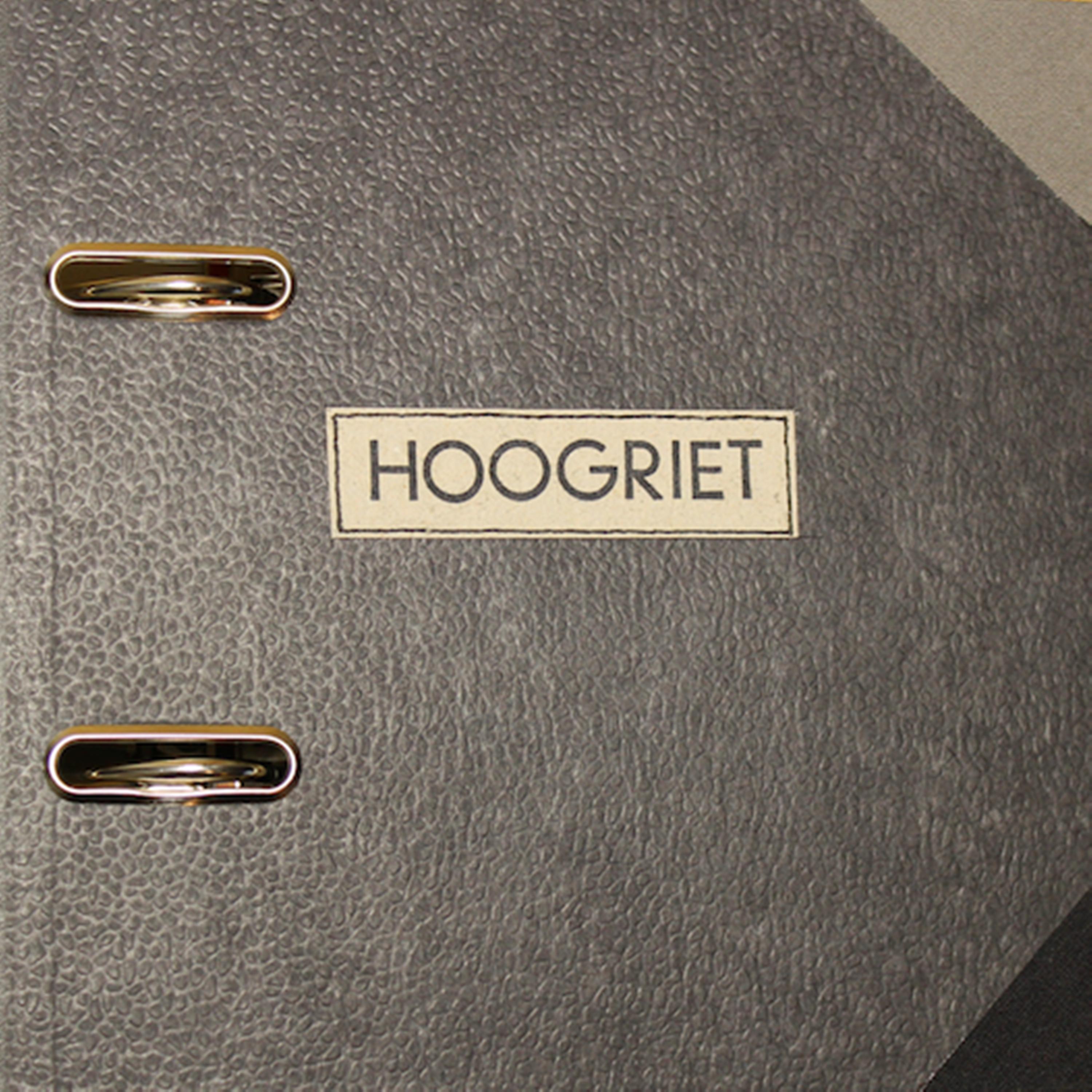 Постер альбома Hoogriet
