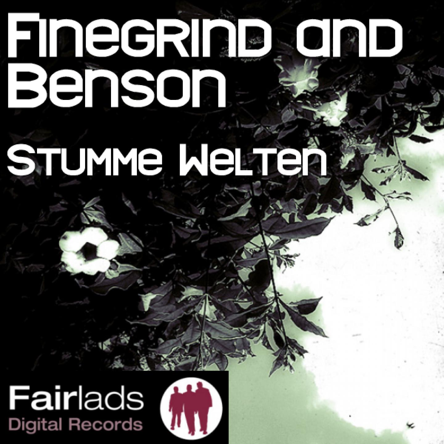 Постер альбома Stumme Welten