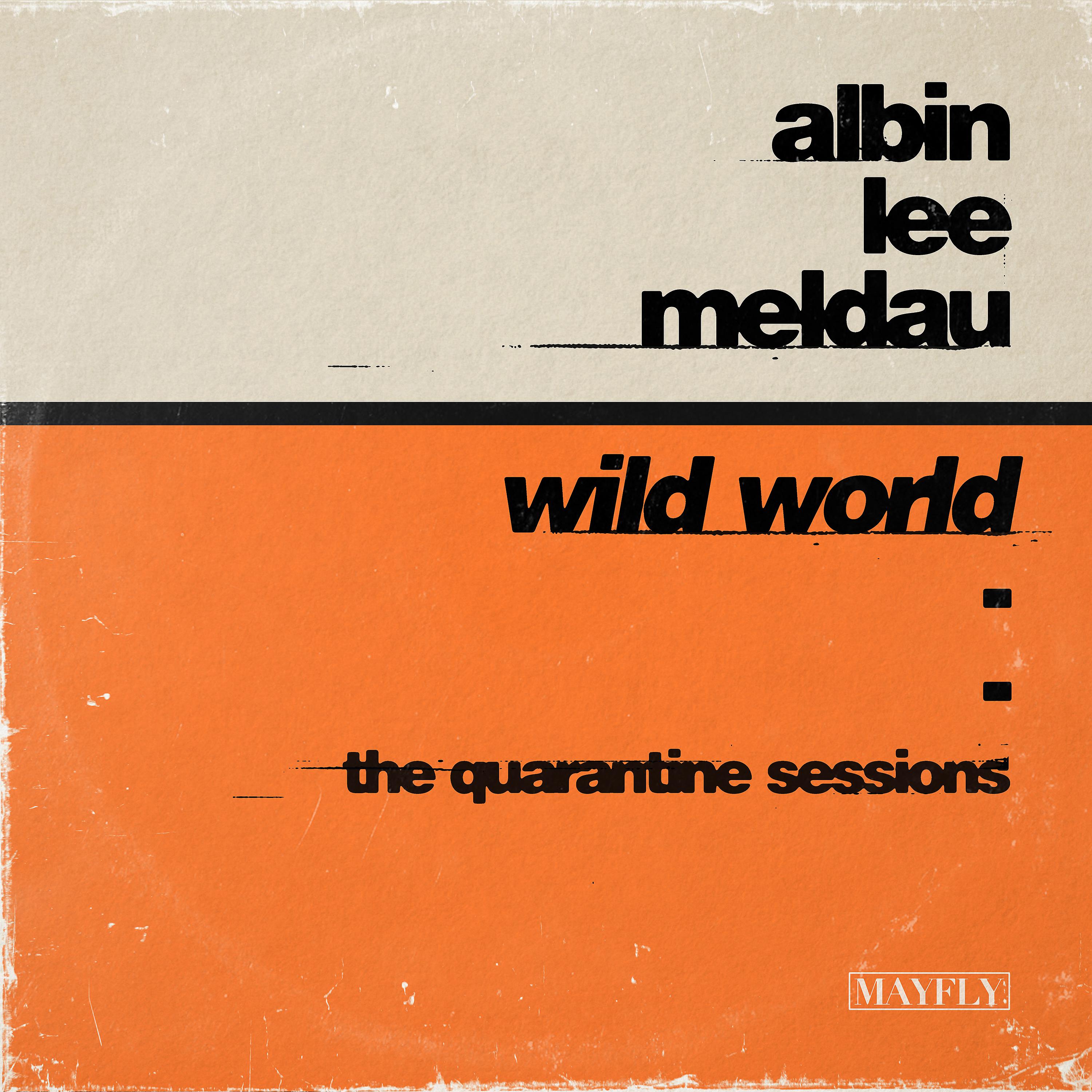 Постер альбома Wild World (The Quarantine Sessions)