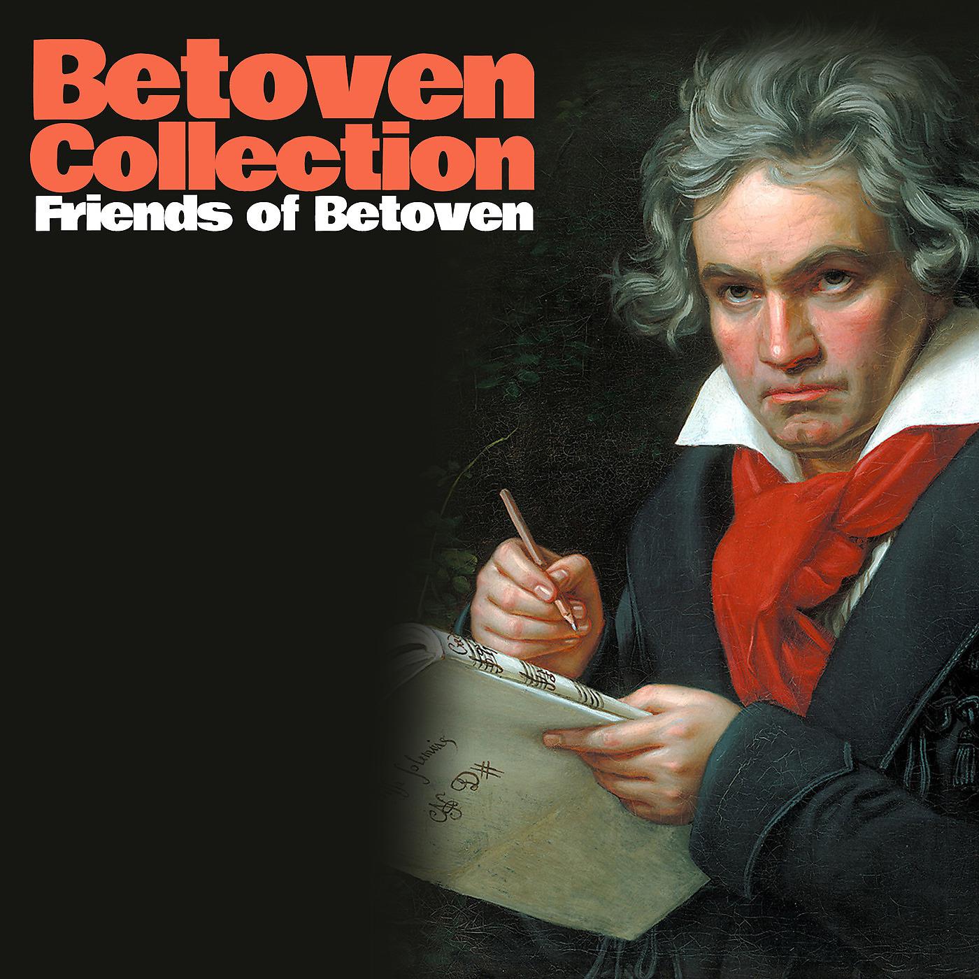 Постер альбома Friends of Betoven