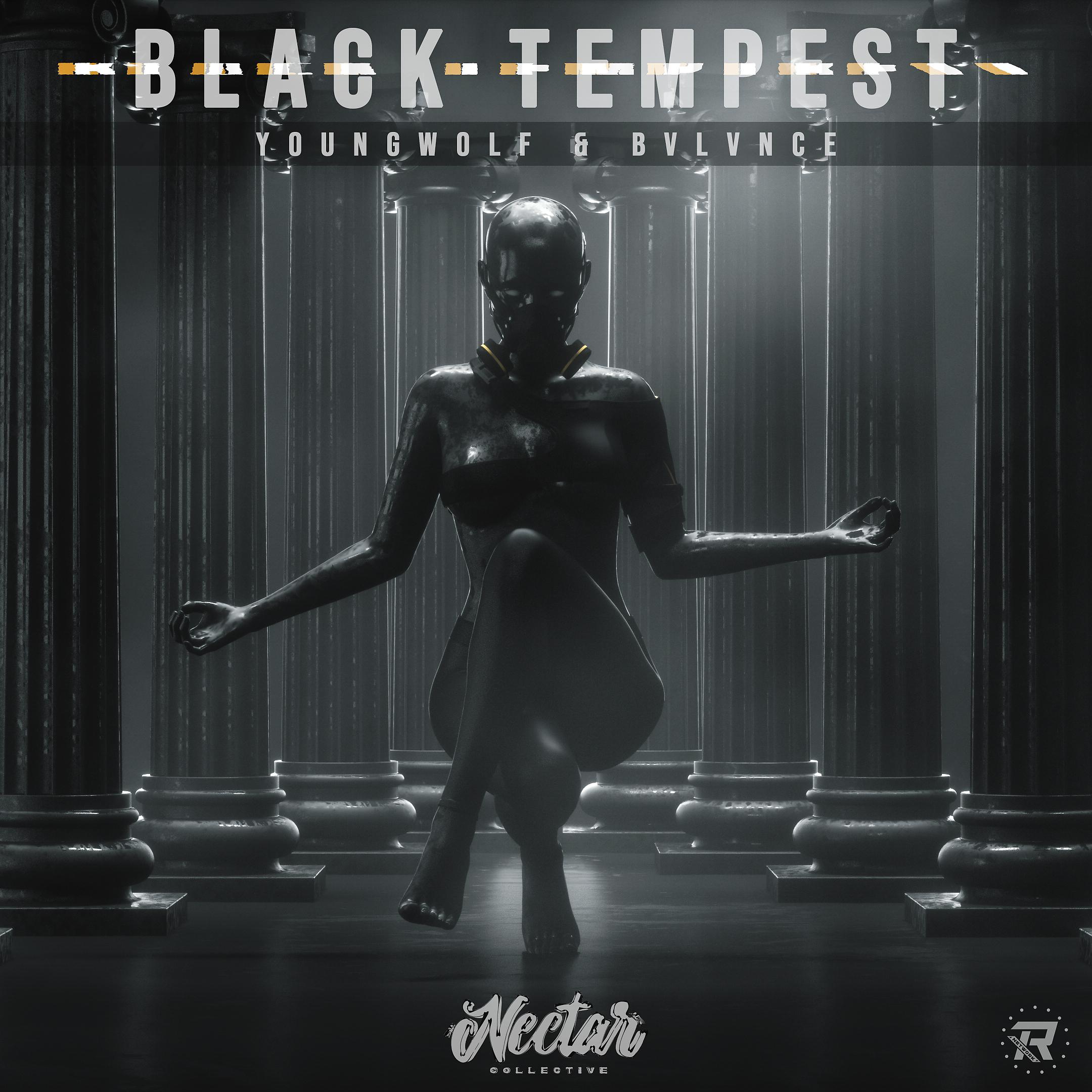 Постер альбома Black Tempest