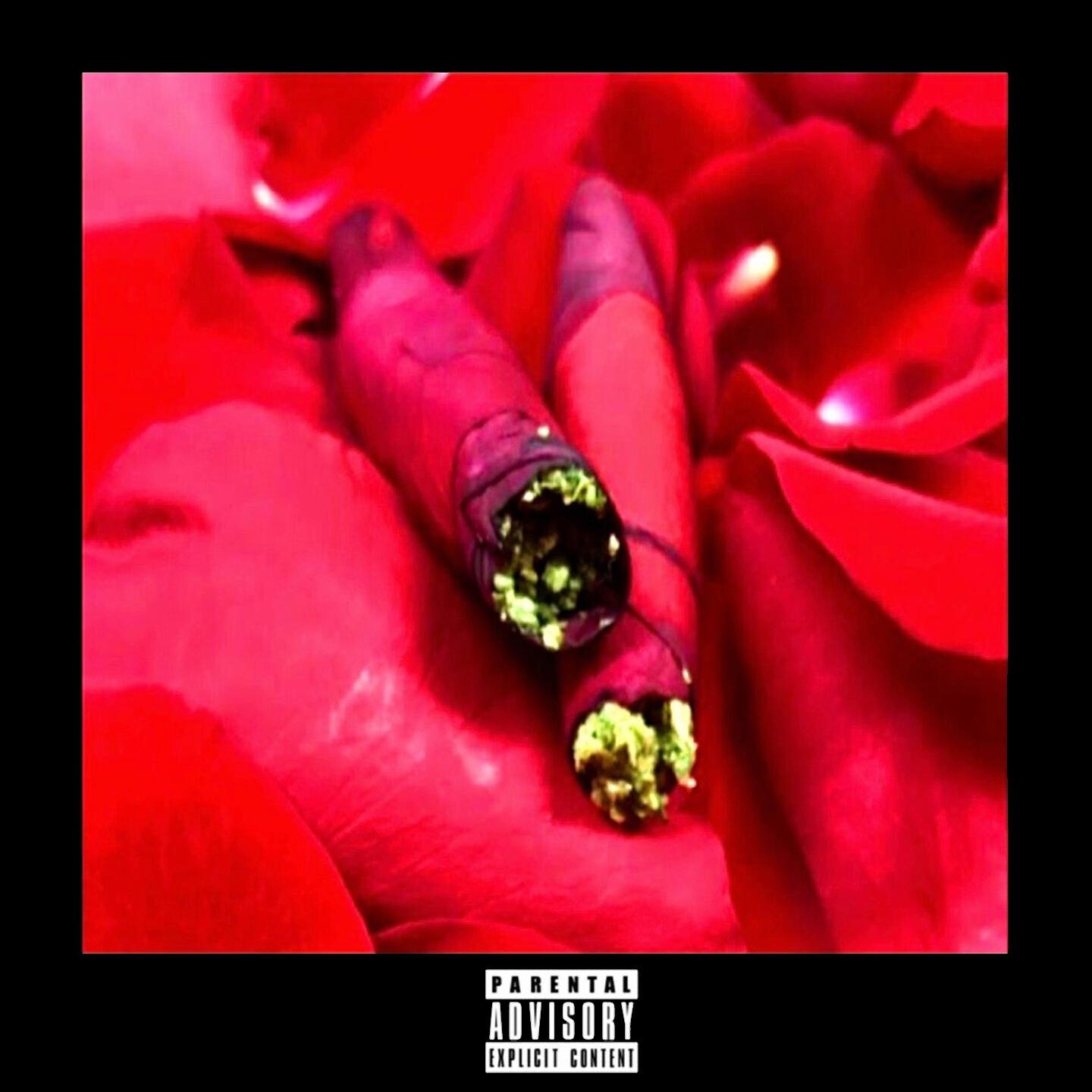 044 ROSE - Blunt