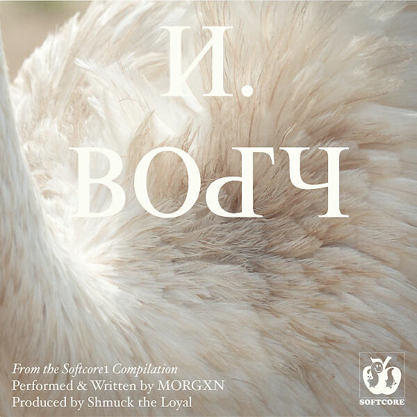 softcore - N.BODY (feat. morgxn)