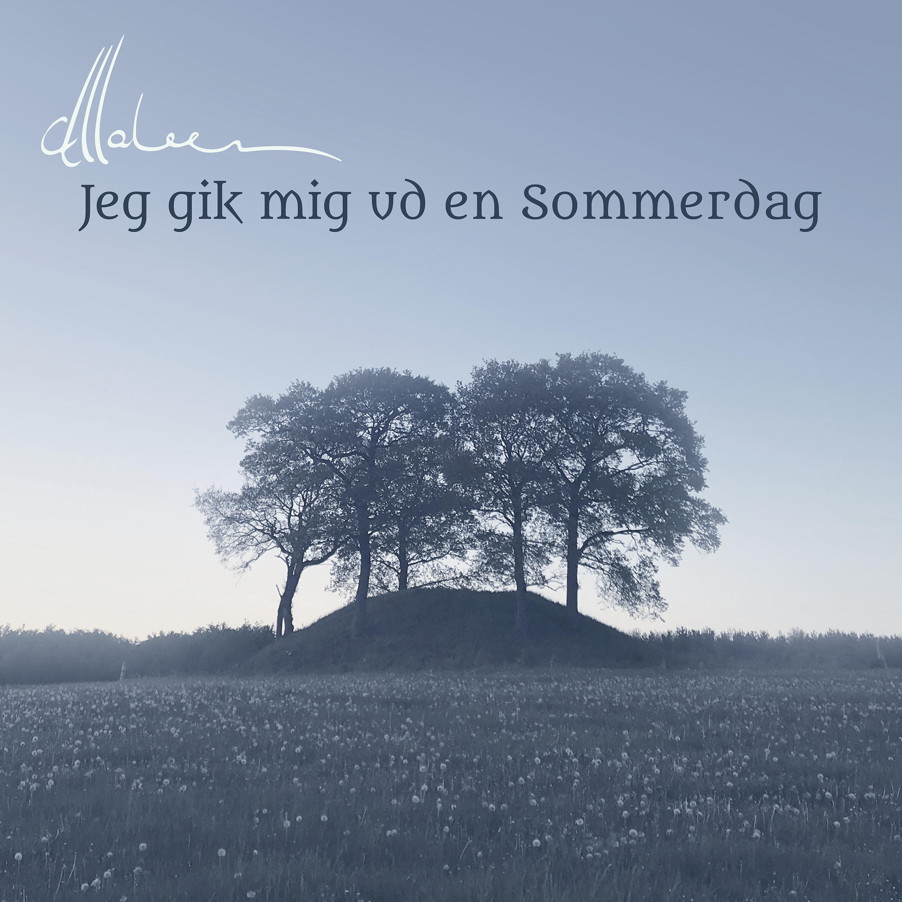 Постер альбома Jeg gik mig ud en Sommerdag (Improvisation)