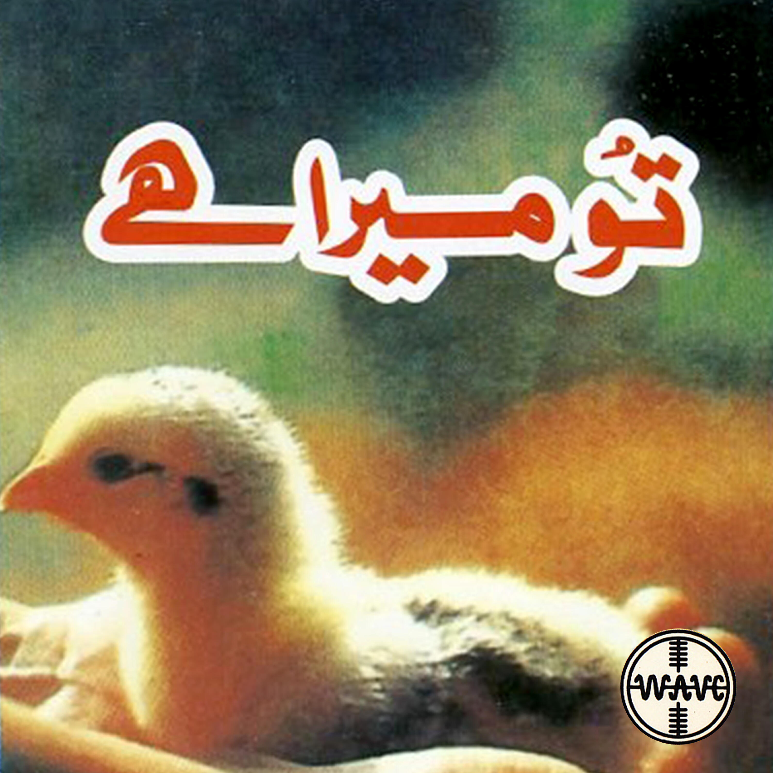 Pervaiz Shan - Sadiyoon Se Jo Hai