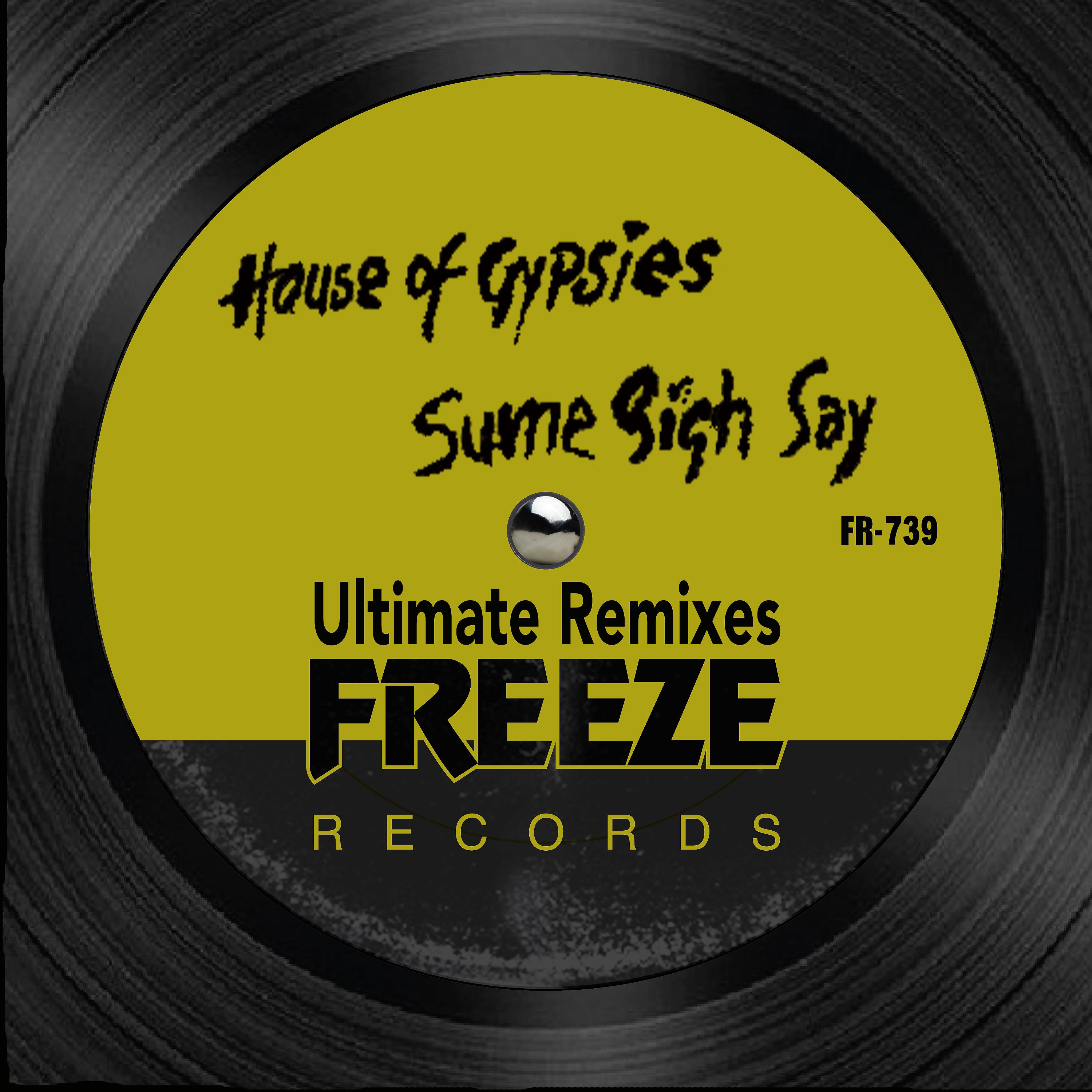 Постер альбома Sume Sigh Say (Ultimate Remixes)